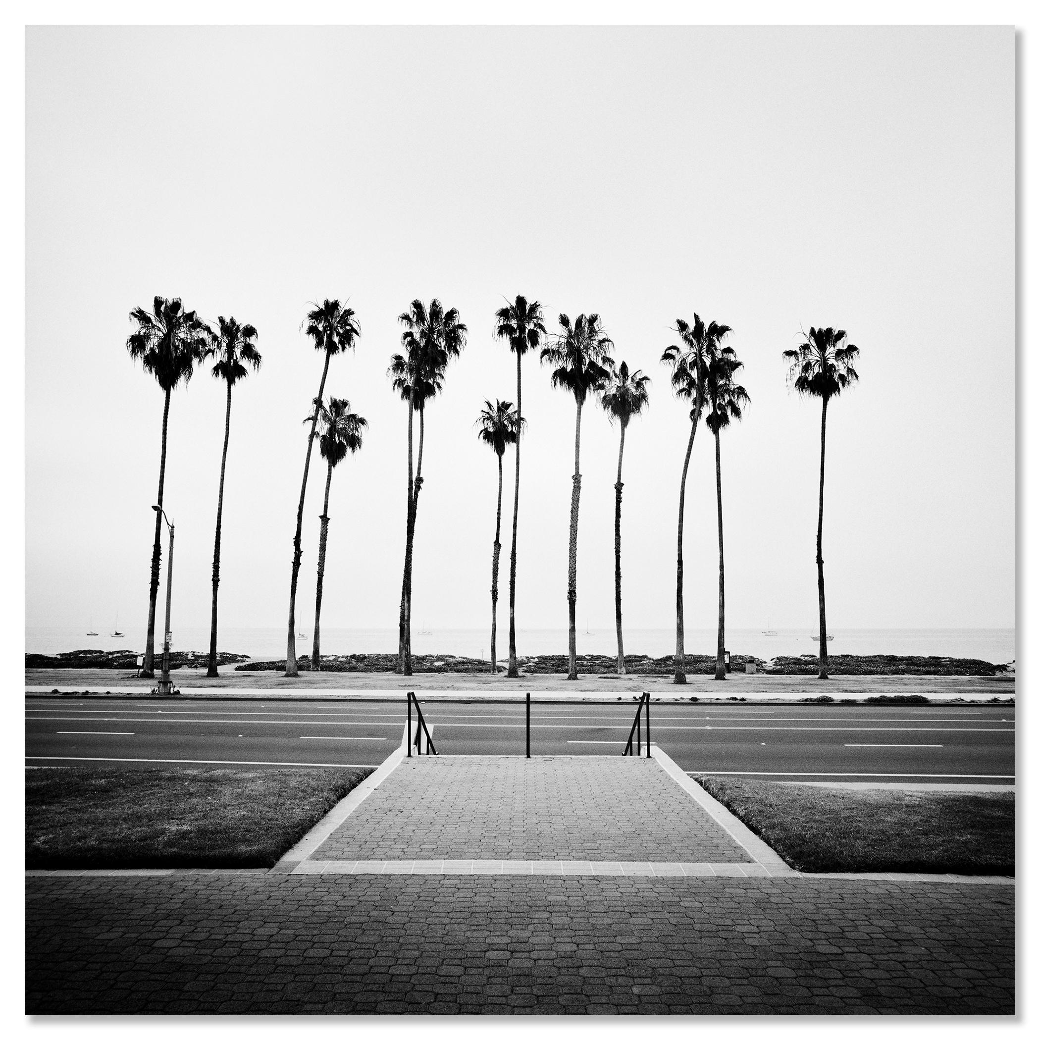 Palmera, Calle, EE.UU., fotografía de edición limitada, paisaje de playa en venta 3