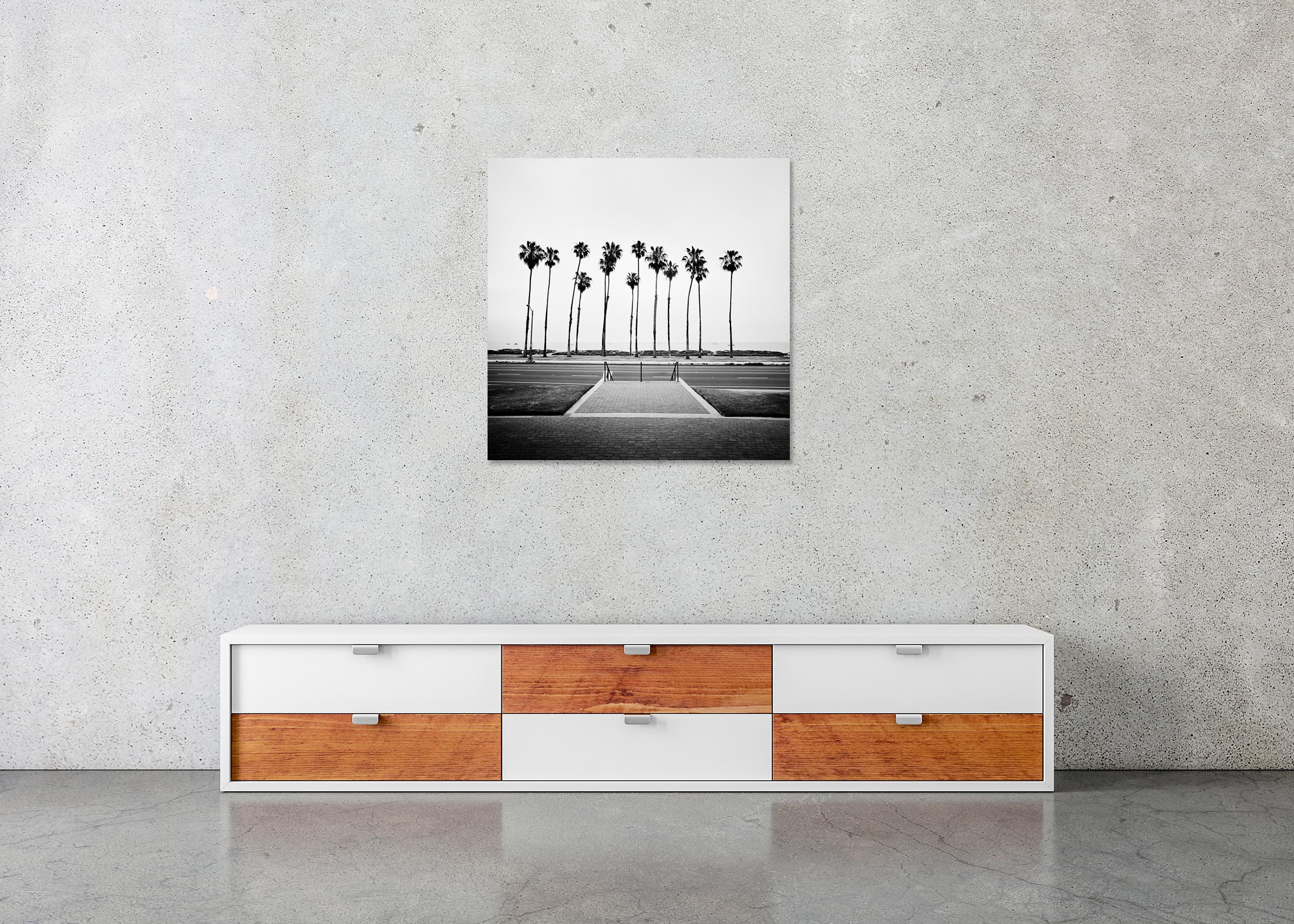 Palmera, Calle, EE.UU., fotografía de edición limitada, paisaje de playa en venta 4