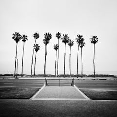 Palmera, Calle, EE.UU., fotografía de edición limitada, paisaje de playa