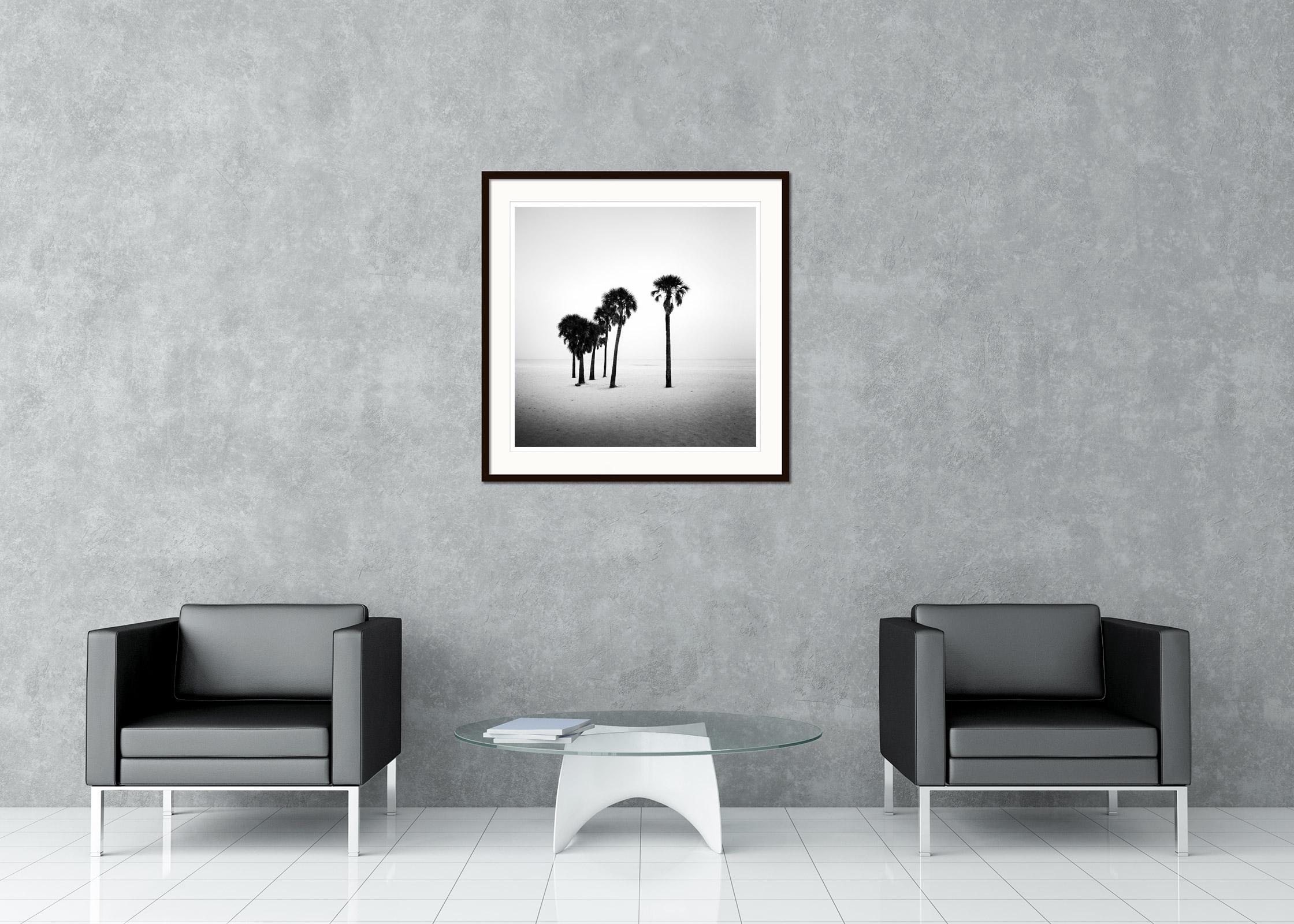 palm tree black and white print