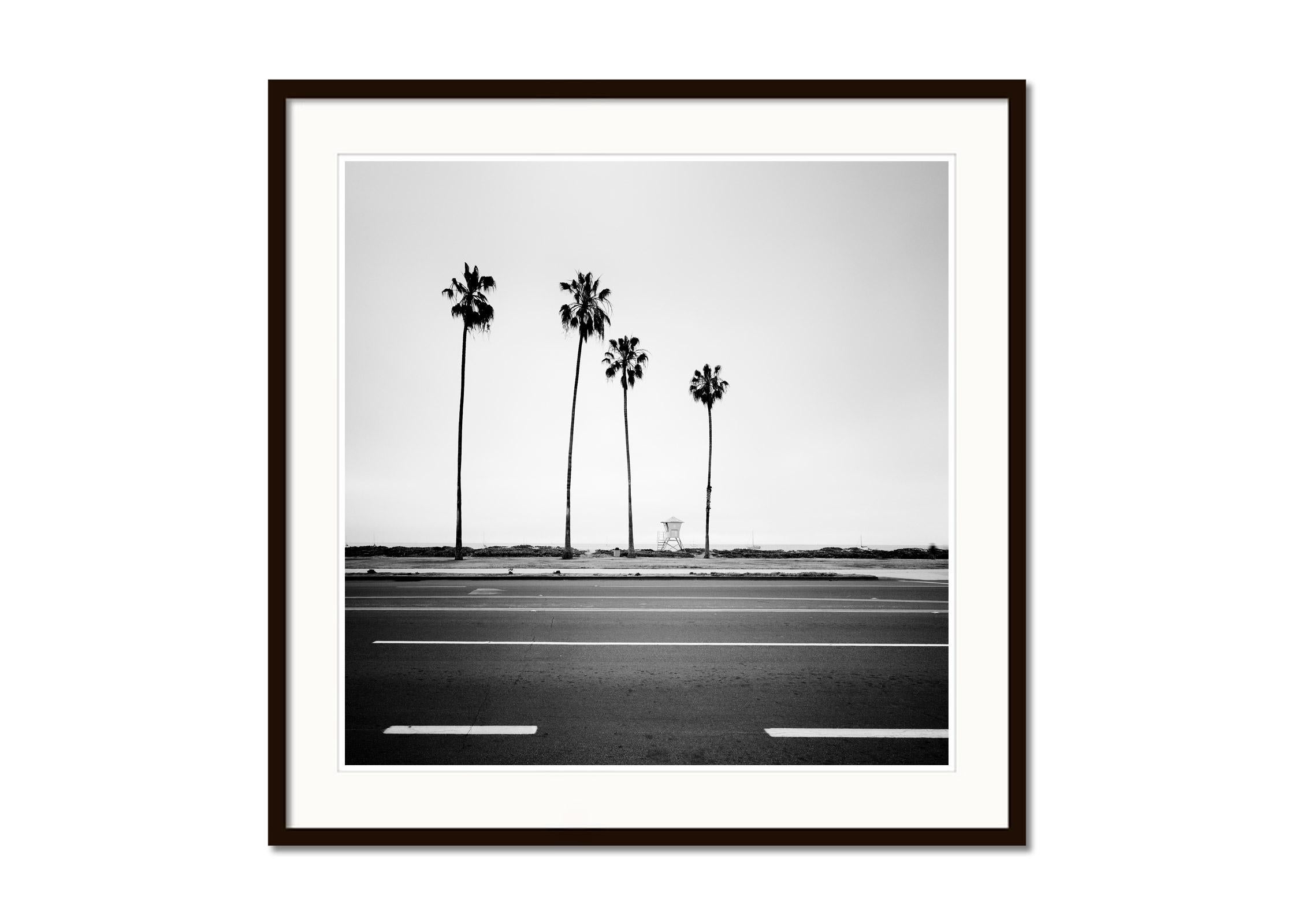Palm Tree, beach, Santa Barbara, USA, black and white landscape photography - Gray Black and White Photograph by Gerald Berghammer