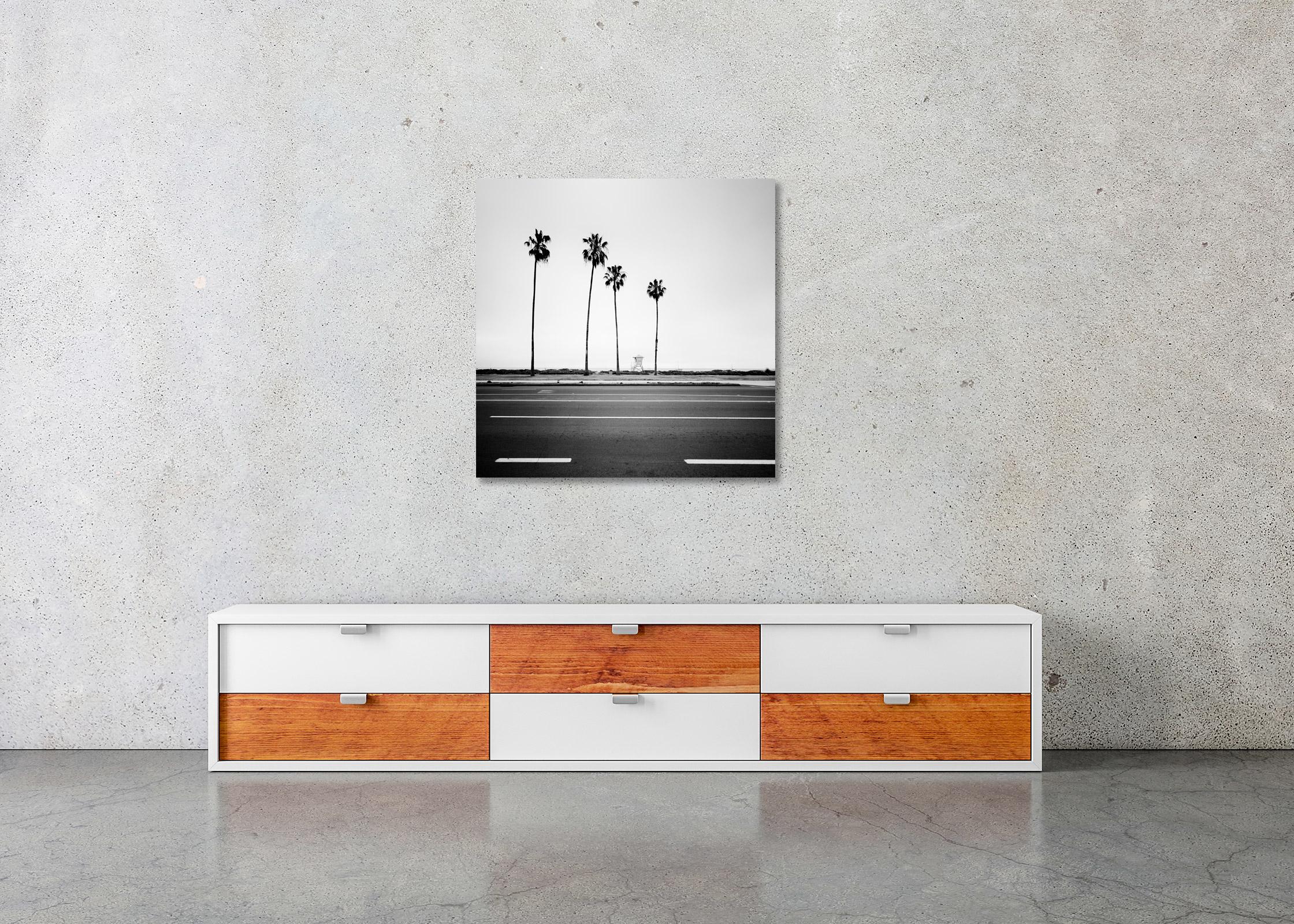 Palm Tree, beach, Santa Barbara, USA, black and white landscape photography For Sale 2
