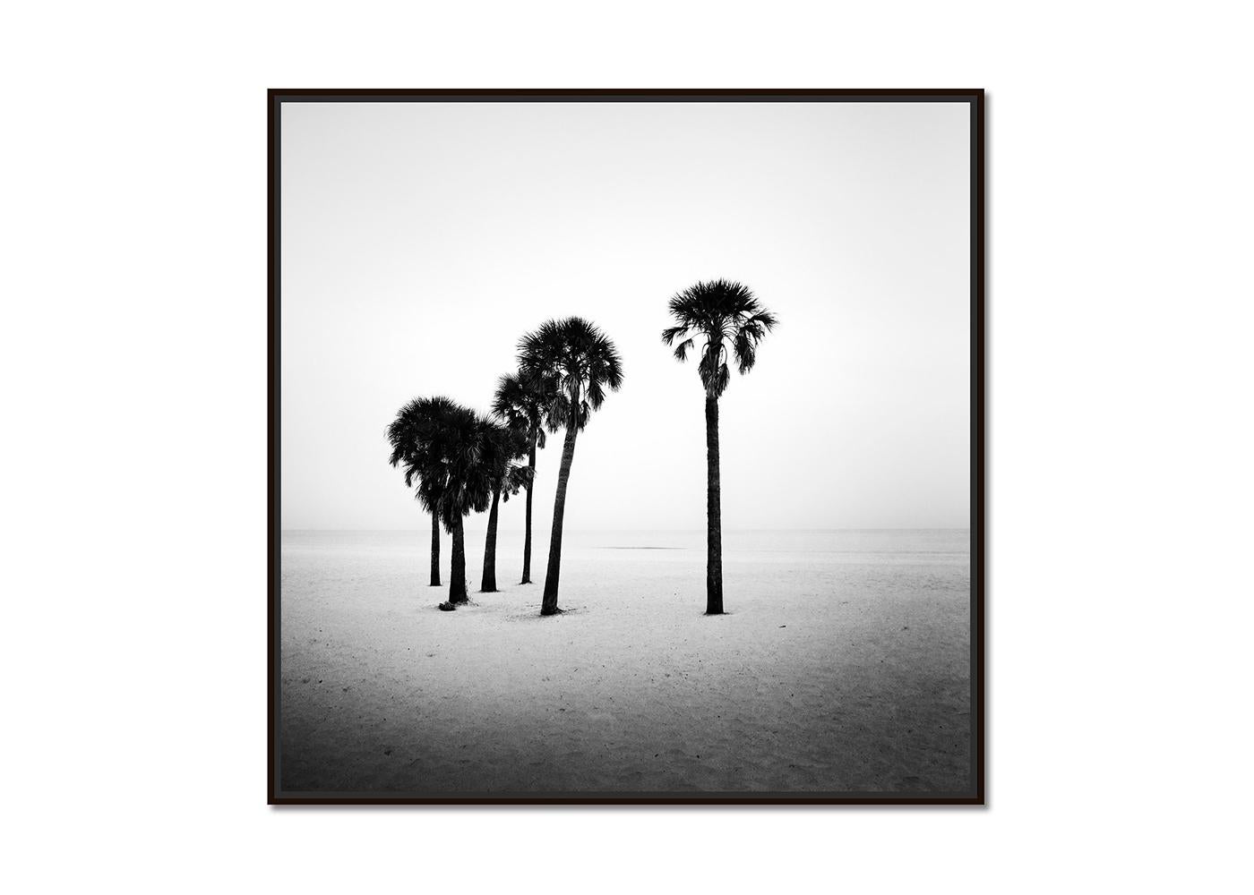 Palmier, lonley Beach, Floride, USA, photographie noir et blanc, paysage - Photograph de Gerald Berghammer