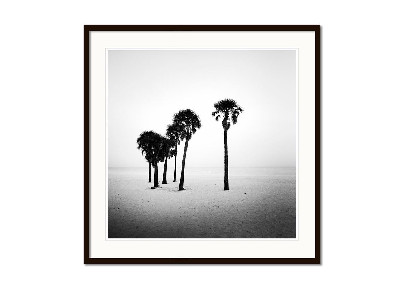 Palmier, lonley Beach, Floride, USA, photographie noir et blanc, paysage - Gris Landscape Photograph par Gerald Berghammer