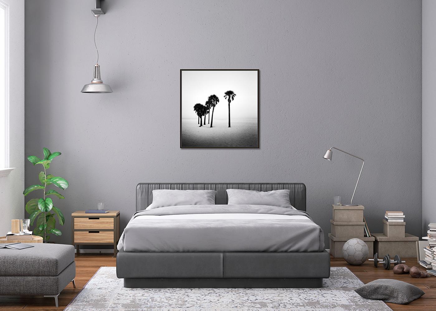 Palmier, lonley Beach, Floride, USA, photographie noir et blanc, paysage en vente 1