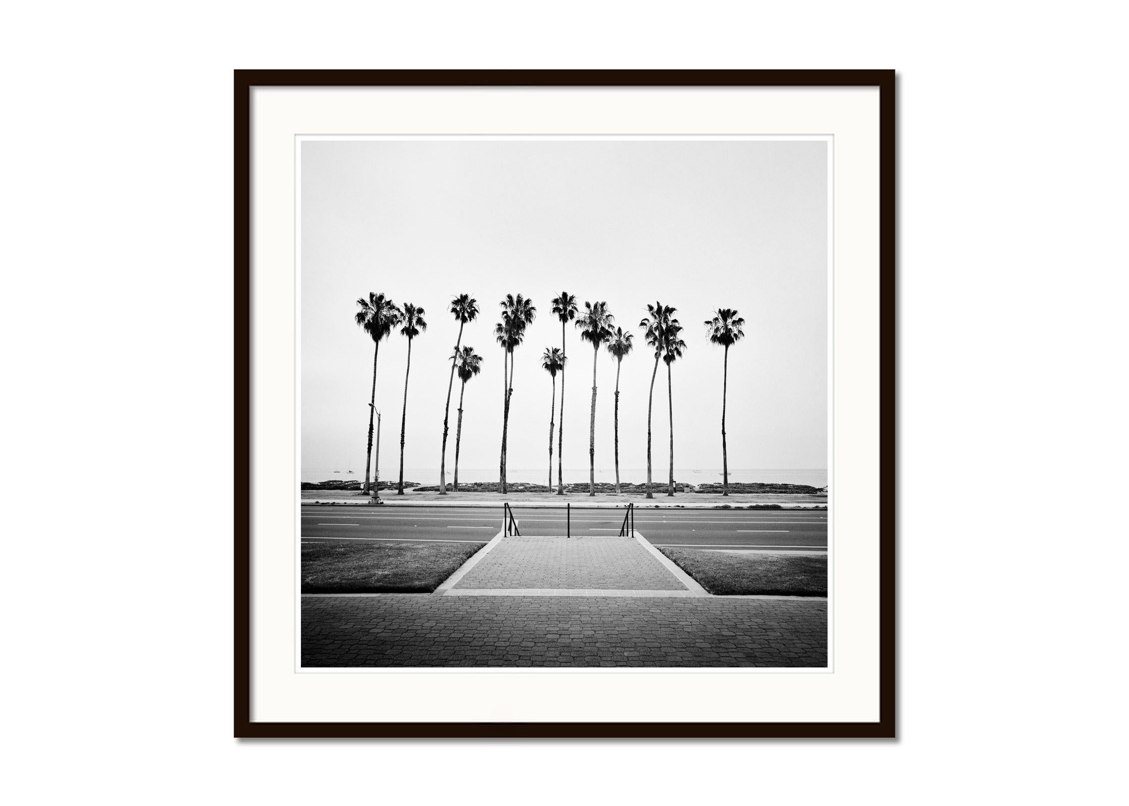 Black and white fine art landscape photography. Palm trees on the coastal road in Santa Barbara, California USA. Archival pigment ink print as part of a limited edition of 9. All Gerald Berghammer prints are made to order in limited editions on