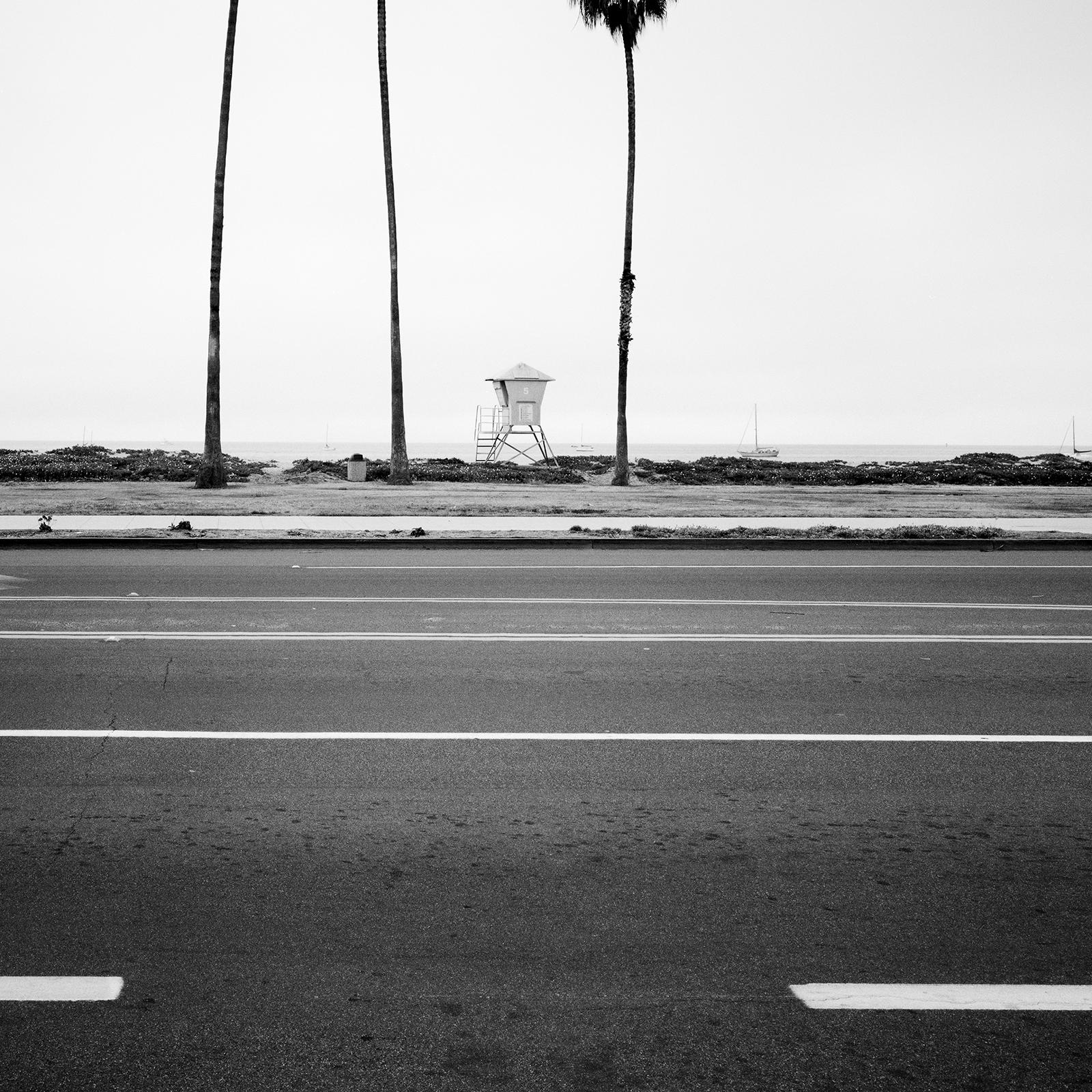 Palme, Santa Barbara, USA, monochrom, Landschaftsfotografie, limitierte Auflage im Angebot 4
