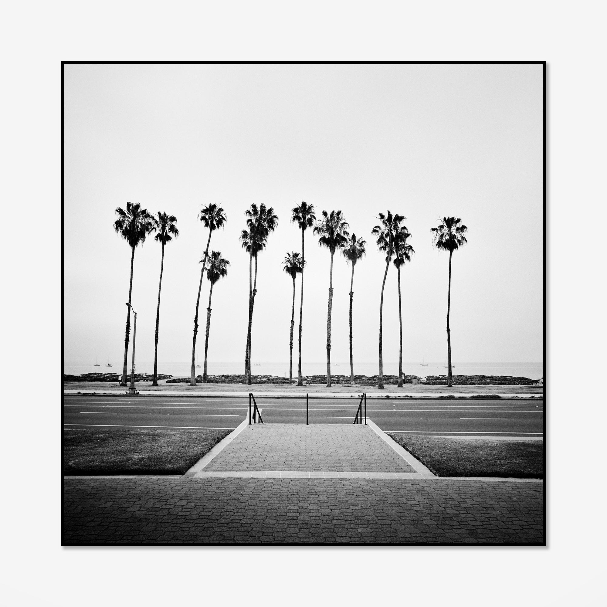 Albero di palma, strada, USA, fotografia in edizione limitata, paesaggio della spiaggia - Photograph di Gerald Berghammer