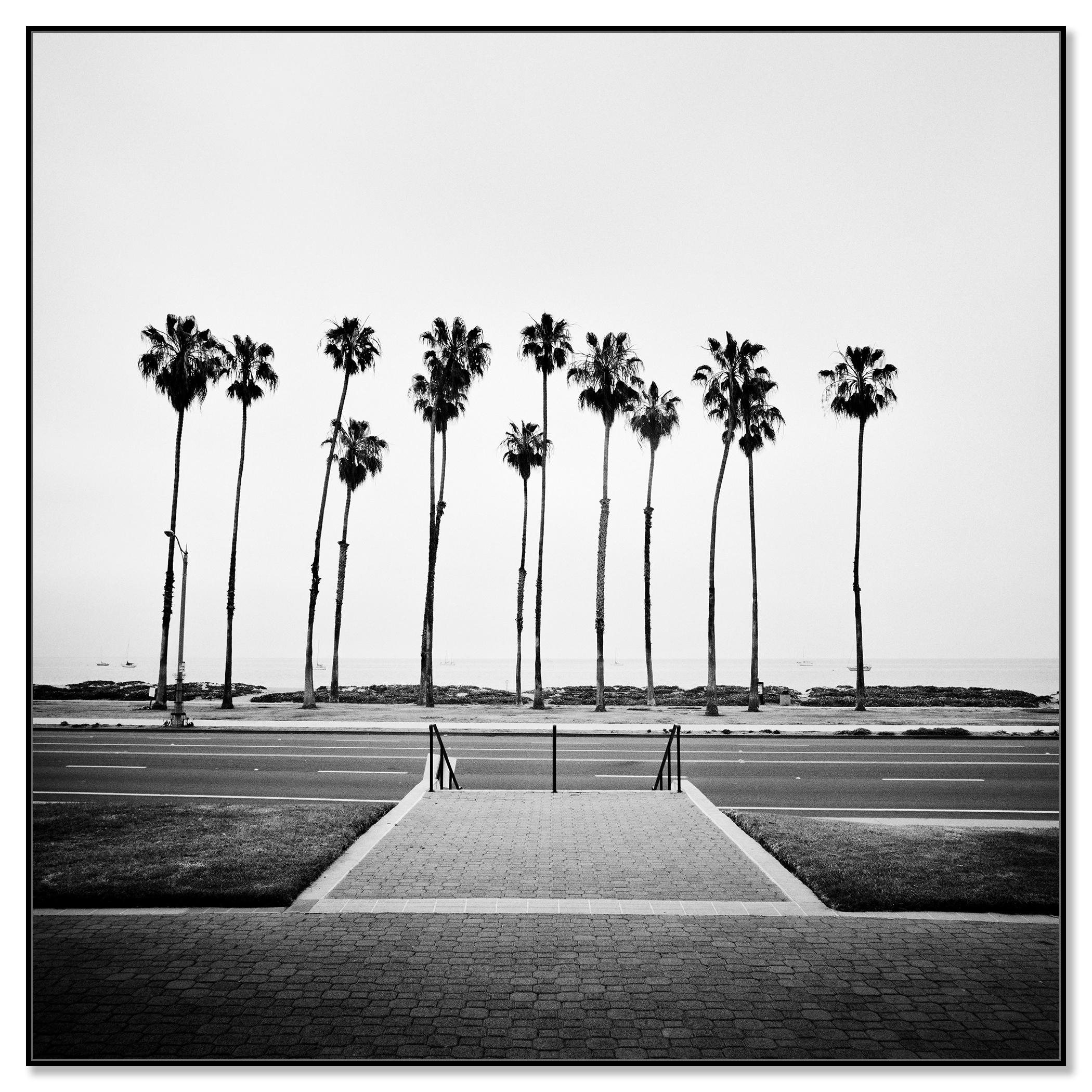 Palmera, Calle, EE.UU., fotografía de edición limitada, paisaje de playa - Photograph de Gerald Berghammer