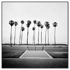 Palm Tree Beach Life Guard Tower Outdoor Santa Barbara