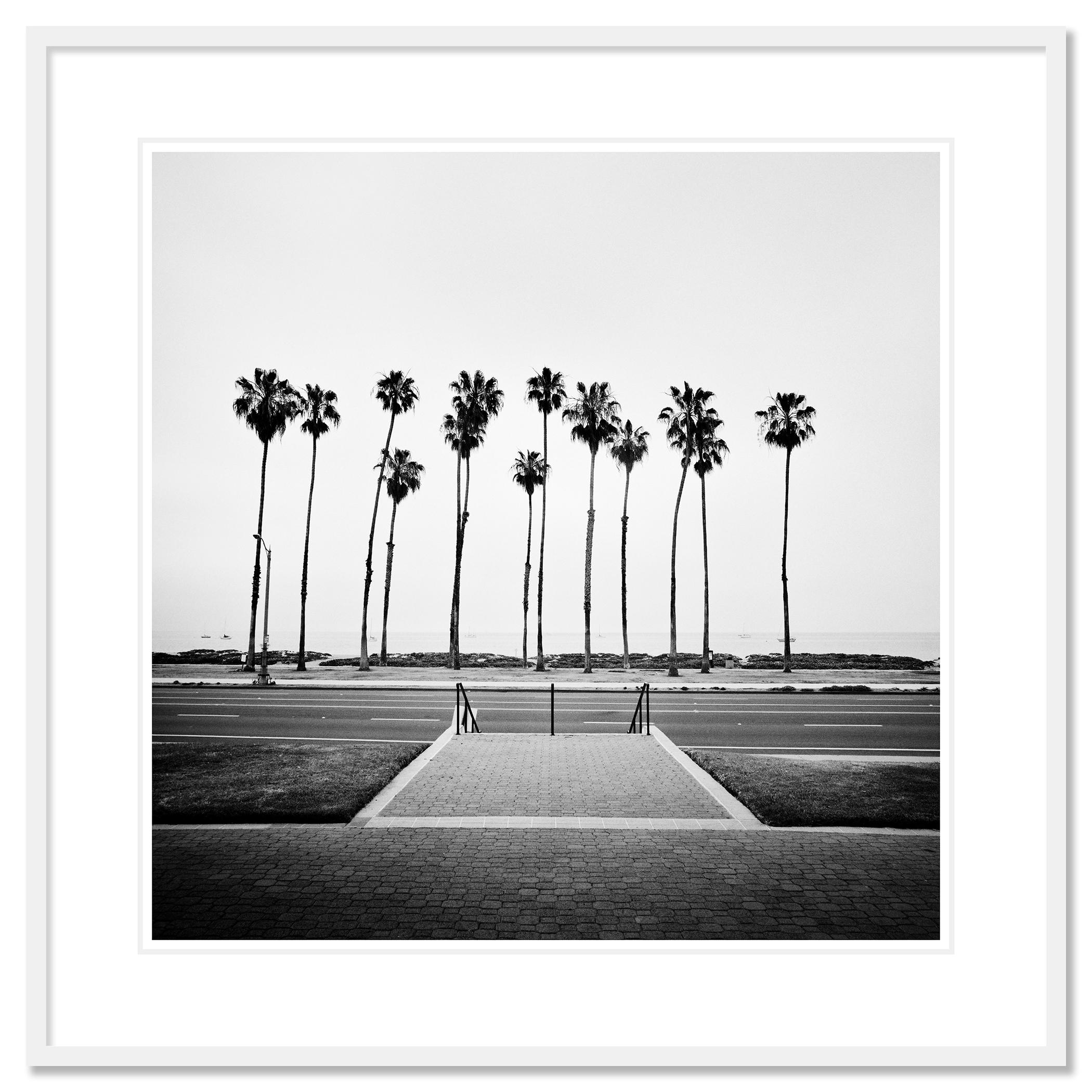 Palmera, Calle, EE.UU., fotografía de edición limitada, paisaje de playa - Photograph Contemporáneo de Gerald Berghammer