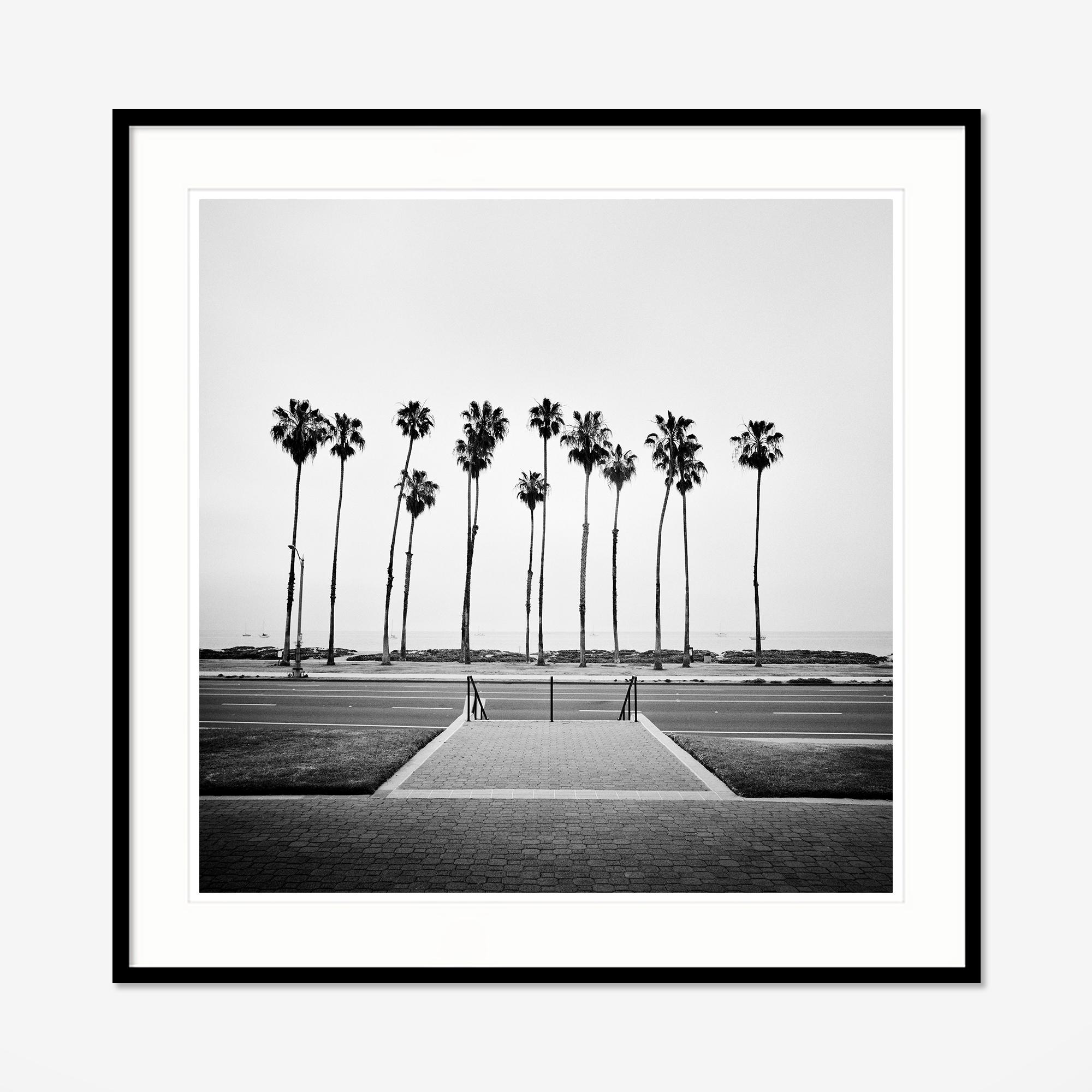 Albero di palma, strada, USA, fotografia in edizione limitata, paesaggio della spiaggia - Landscape Photograph Grigio di Gerald Berghammer