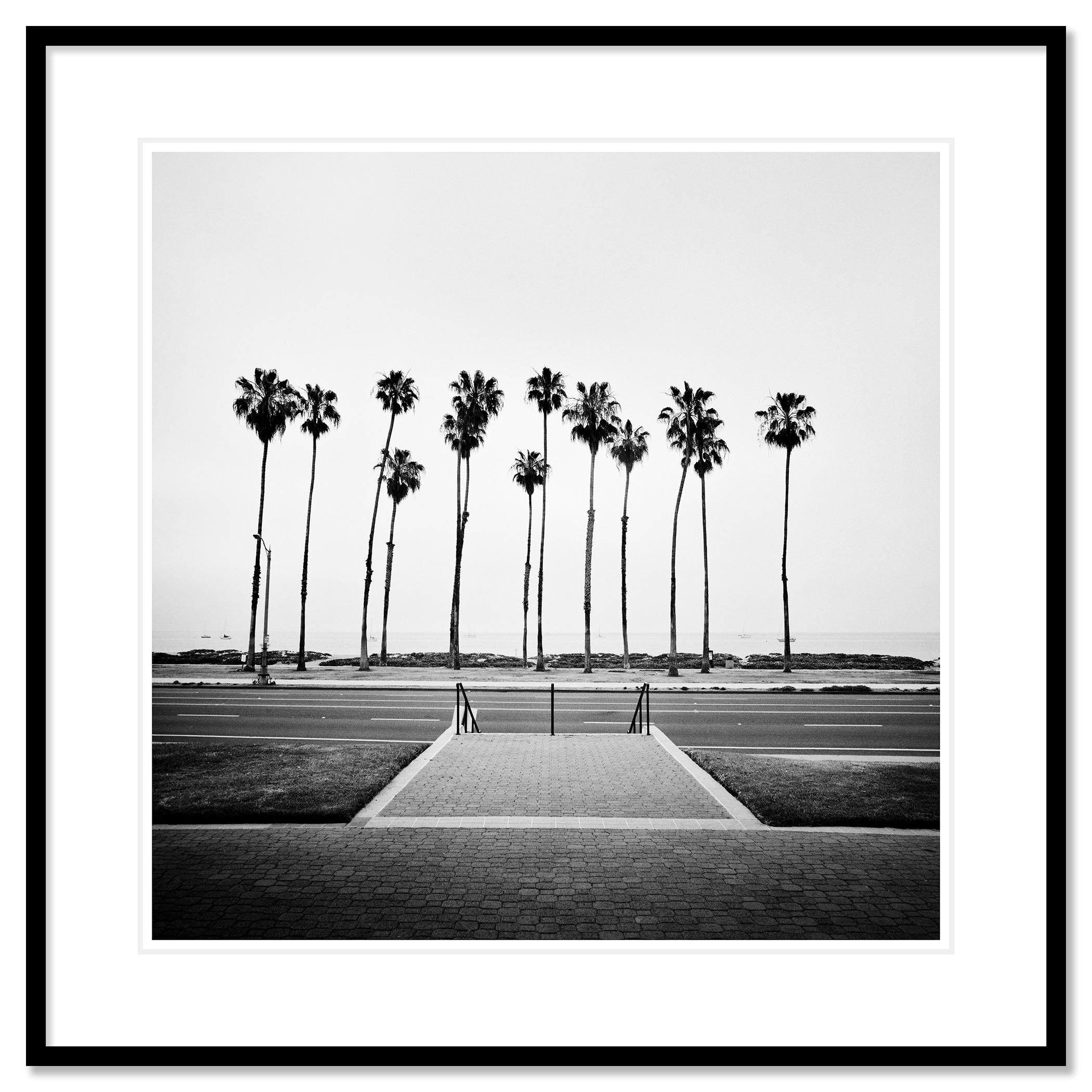 Fotografía artística de paisajes en blanco y negro. Palmeras en la carretera costera de Santa Bárbara, California, EEUU. Impresión con tinta de pigmento de archivo de una edición limitada de 9. Todas las impresiones de Gerald Berghammer se realizan