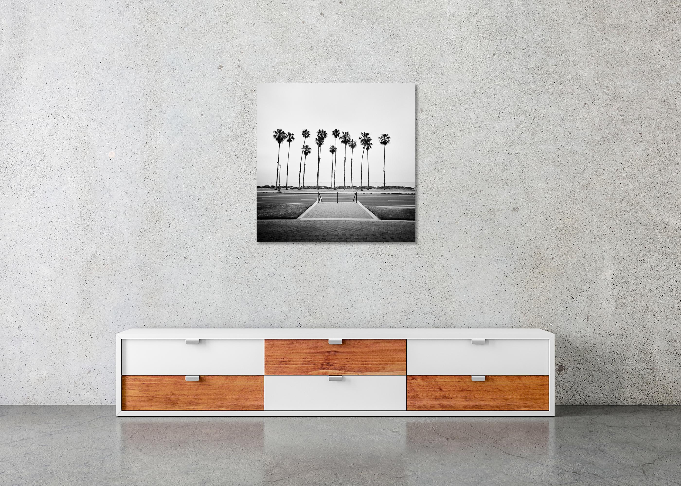 Albero di palma, strada, USA, fotografia in edizione limitata, paesaggio della spiaggia in vendita 1