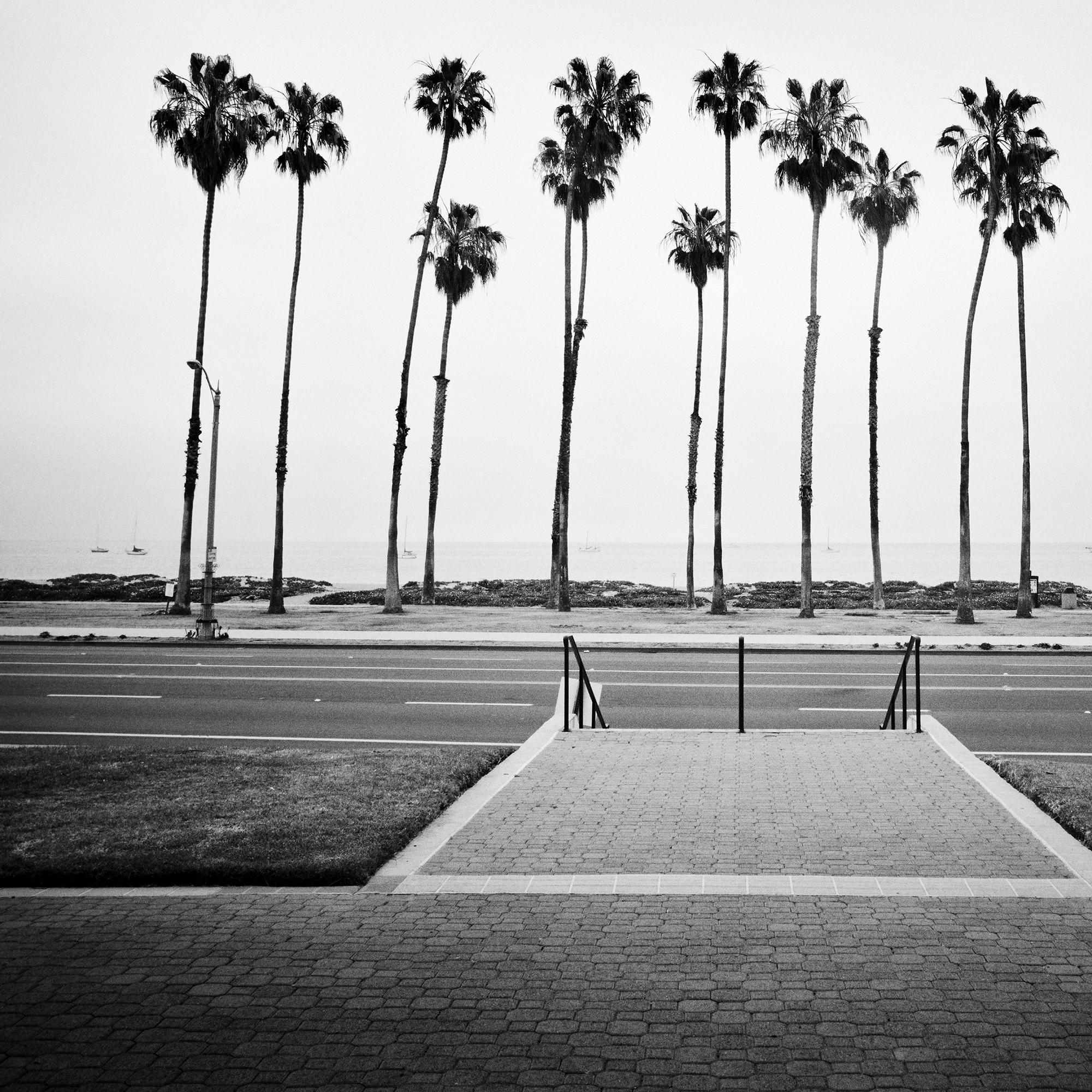 Albero di palma, strada, USA, fotografia in edizione limitata, paesaggio della spiaggia in vendita 2