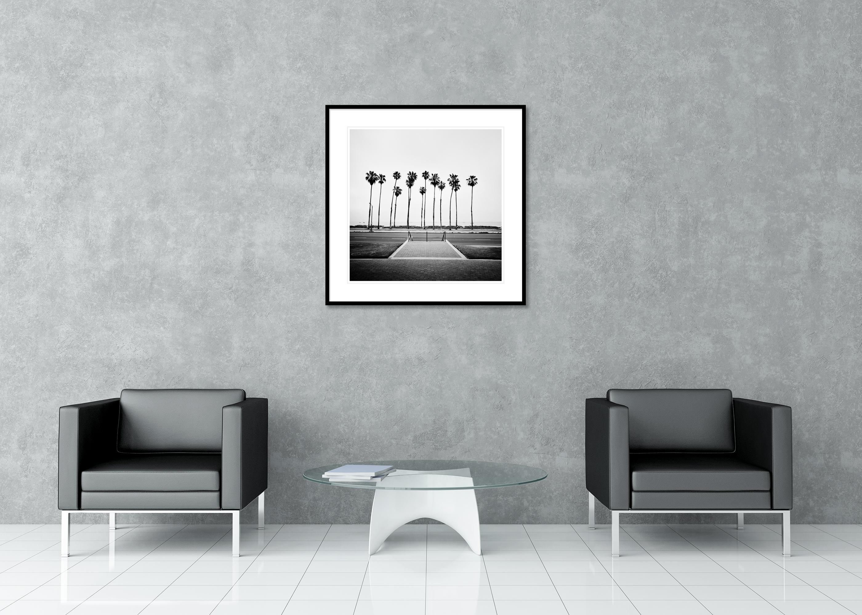 Palmera, Calle, EE.UU., fotografía de edición limitada, paisaje de playa en venta 2