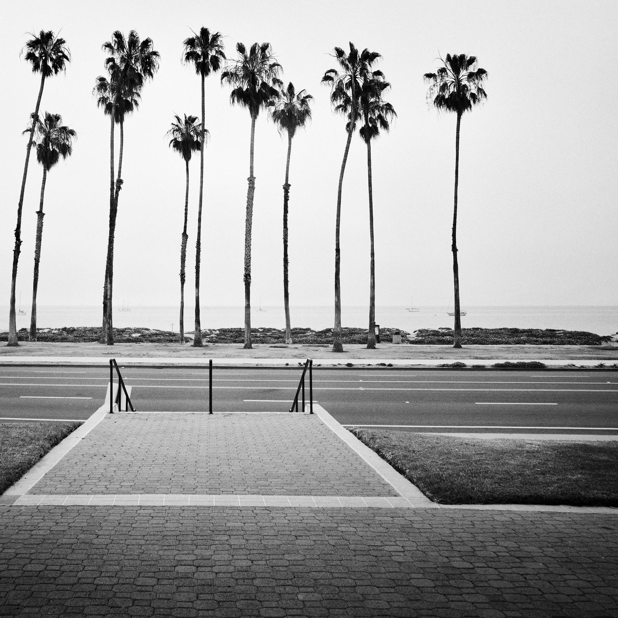 Albero di palma, strada, USA, fotografia in edizione limitata, paesaggio della spiaggia in vendita 3