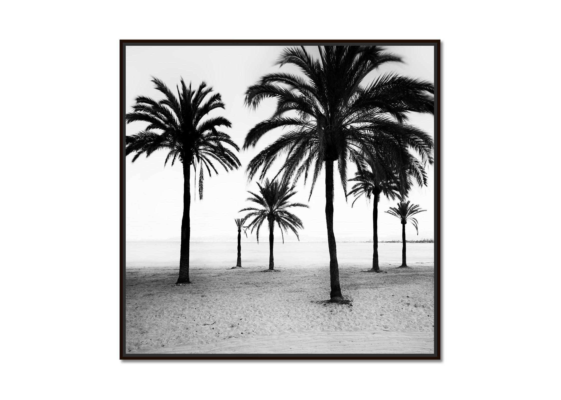 Palm Trees at the Beach, Mallorca, black and white photography, art landscape - Photograph by Gerald Berghammer