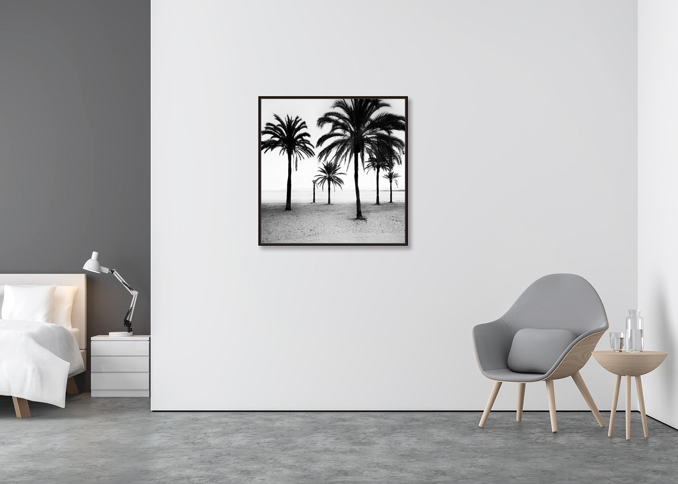 Palm Trees at the Beach, Mallorca, black and white photography, art landscape - Contemporary Photograph by Gerald Berghammer