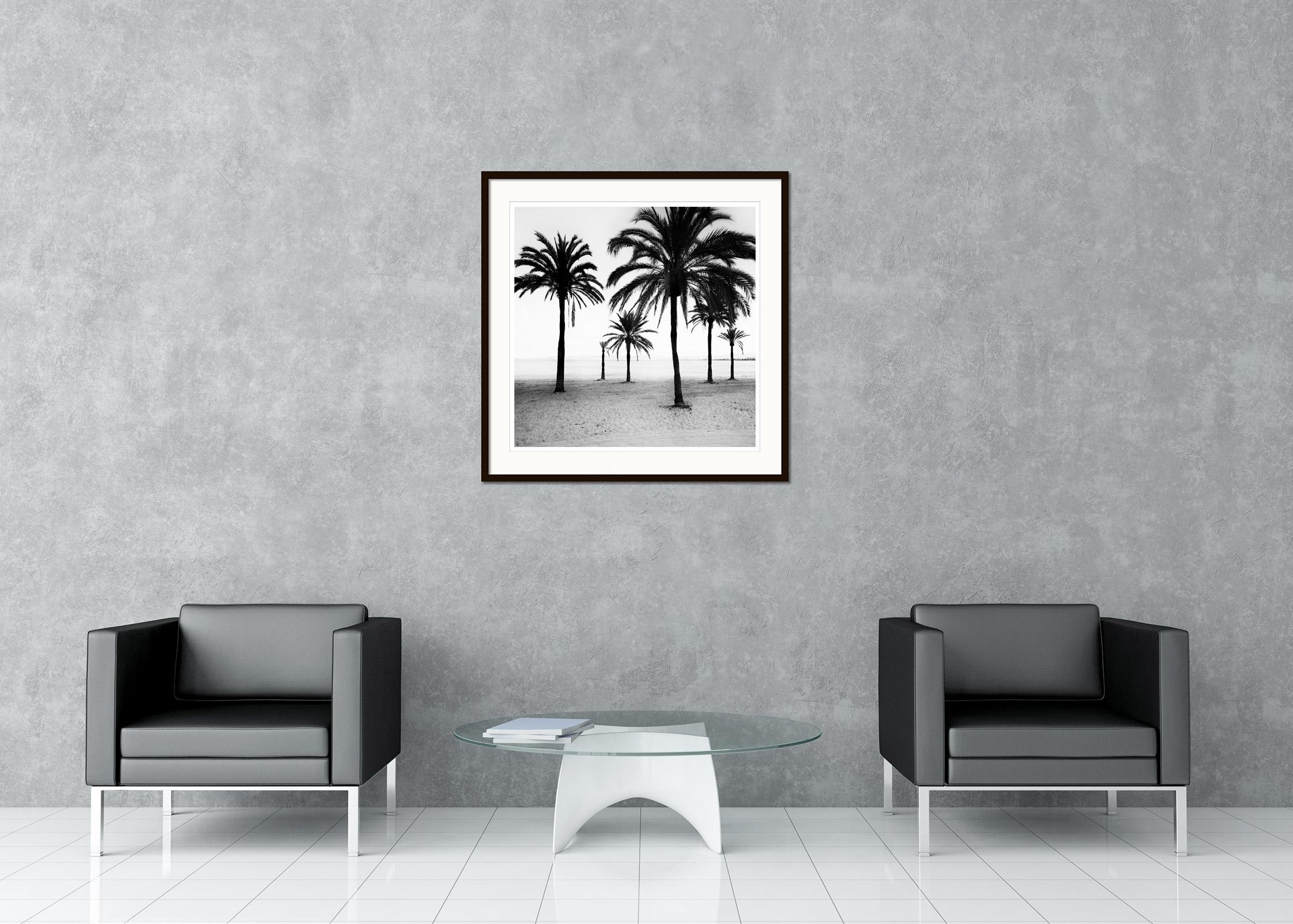 Palm Trees at the Beach, Mallorca, black and white photography, art landscape For Sale 1