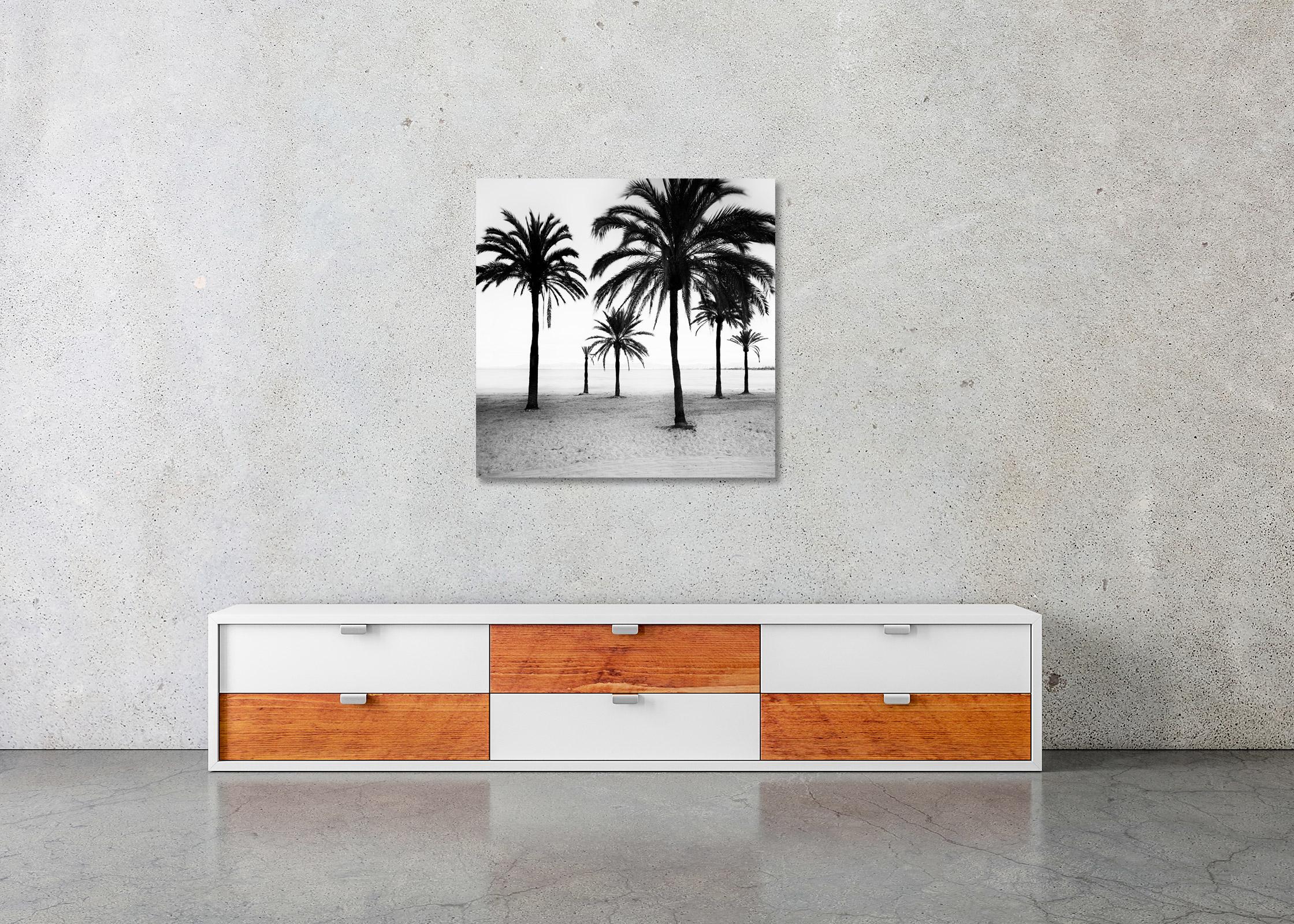 Palm Trees at the Beach, Mallorca, black and white photography, art landscape For Sale 2