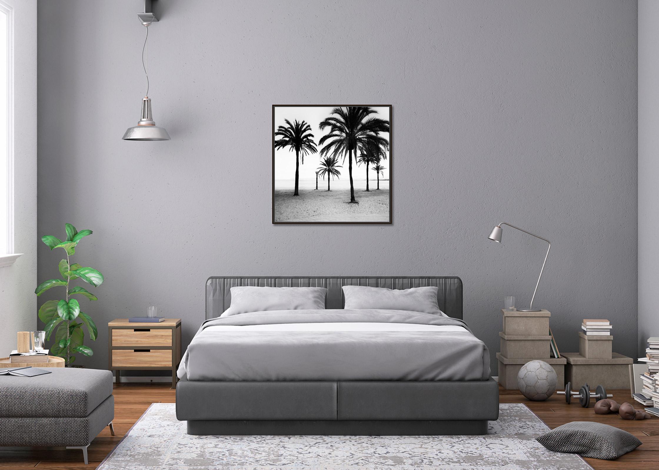 Palm Trees at the Beach, Mallorca, black and white photography, art landscape For Sale 3