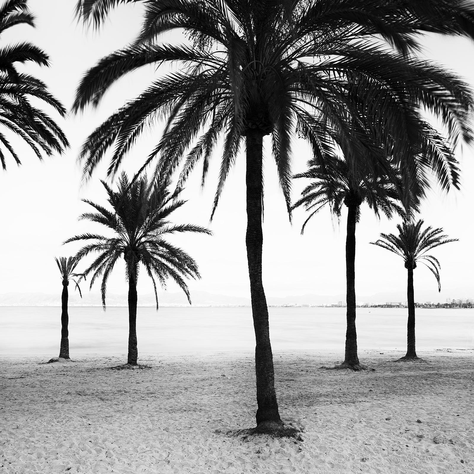 Palm Trees at the Beach, Mallorca, black and white photography, art landscape For Sale 4