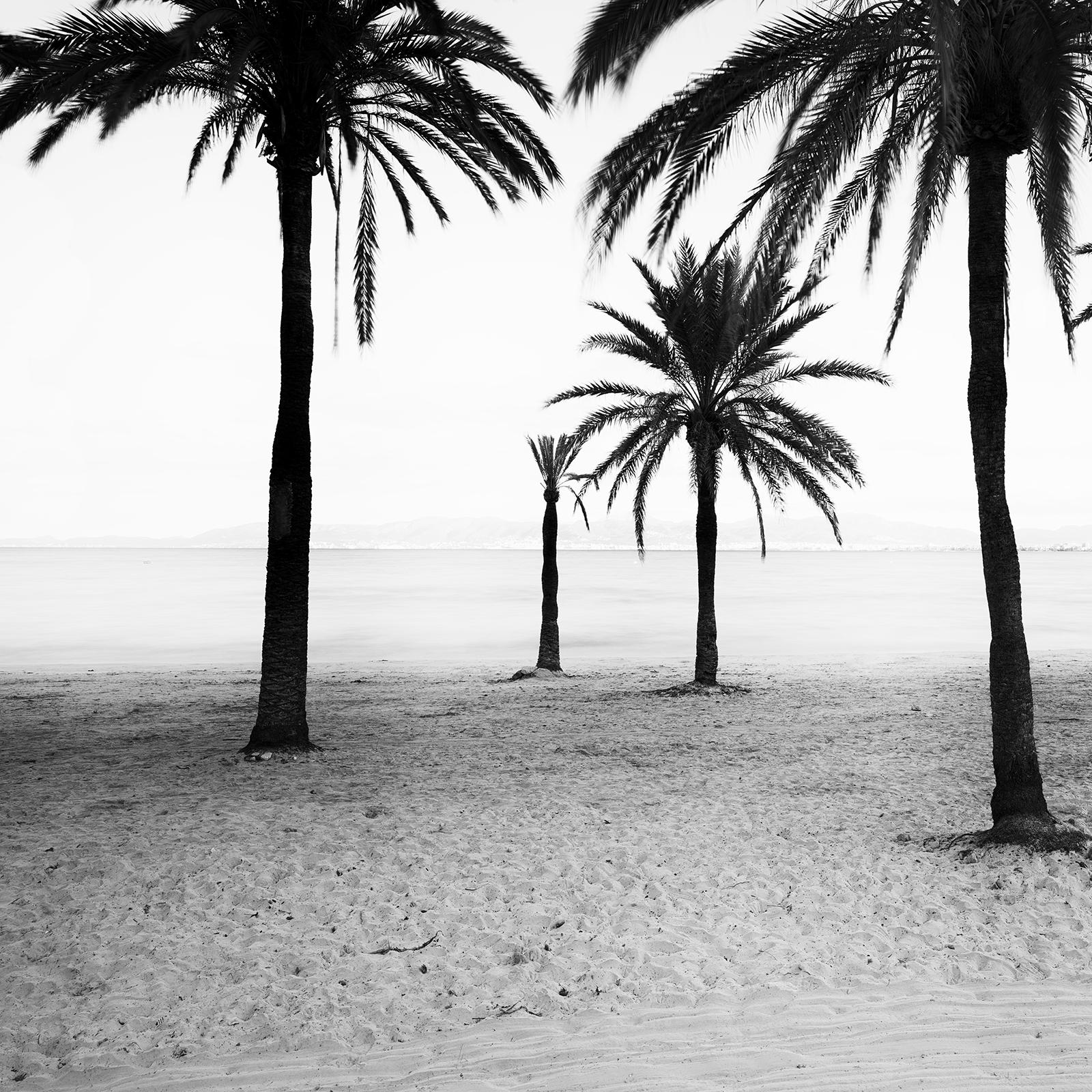Palm Trees at the Beach, Mallorca, black and white photography, art landscape For Sale 5
