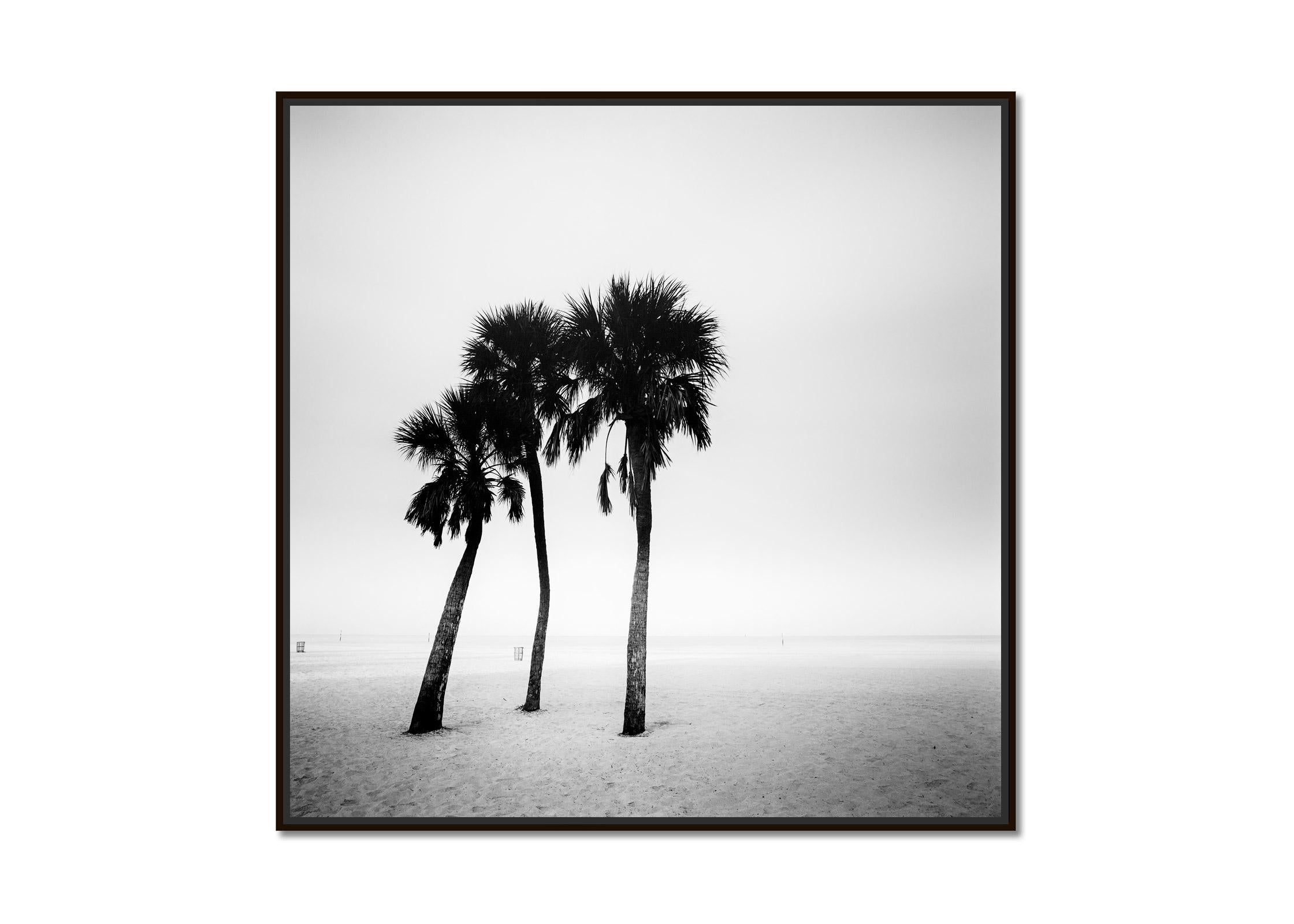Palmiers, lonley beach, Floride, USA, photographie noir et blanc, paysage - Photograph de Gerald Berghammer