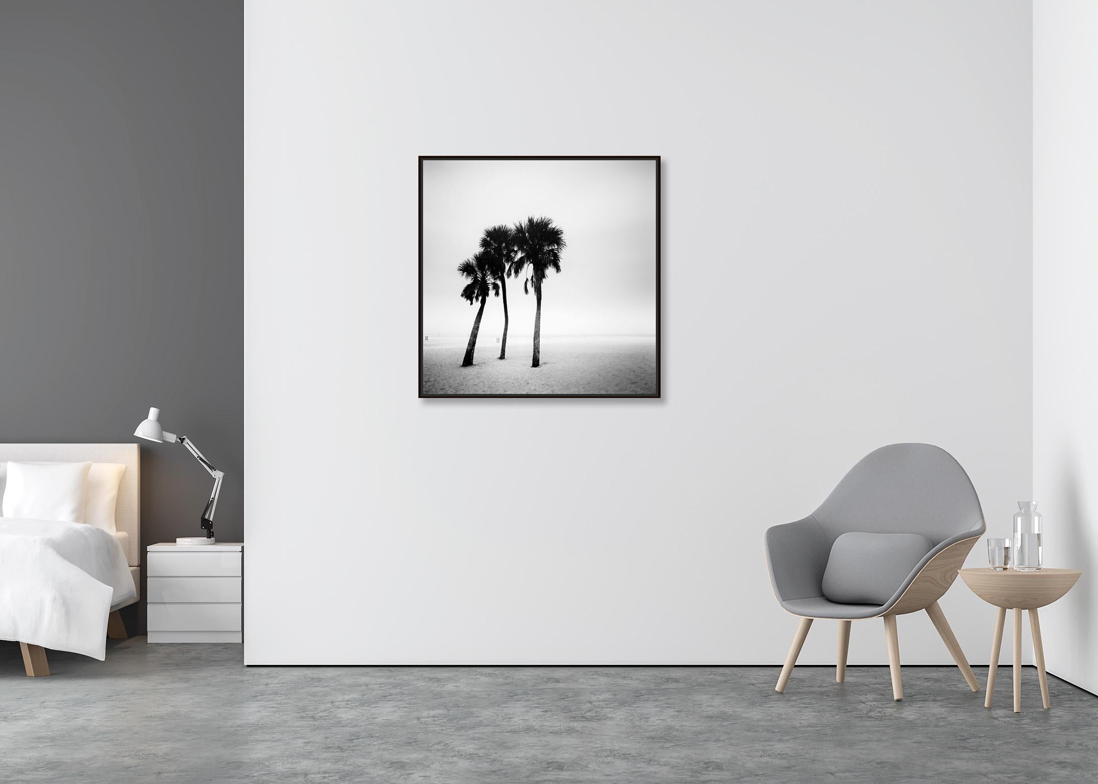 Palmiers, lonley beach, Floride, USA, photographie noir et blanc, paysage - Contemporain Photograph par Gerald Berghammer