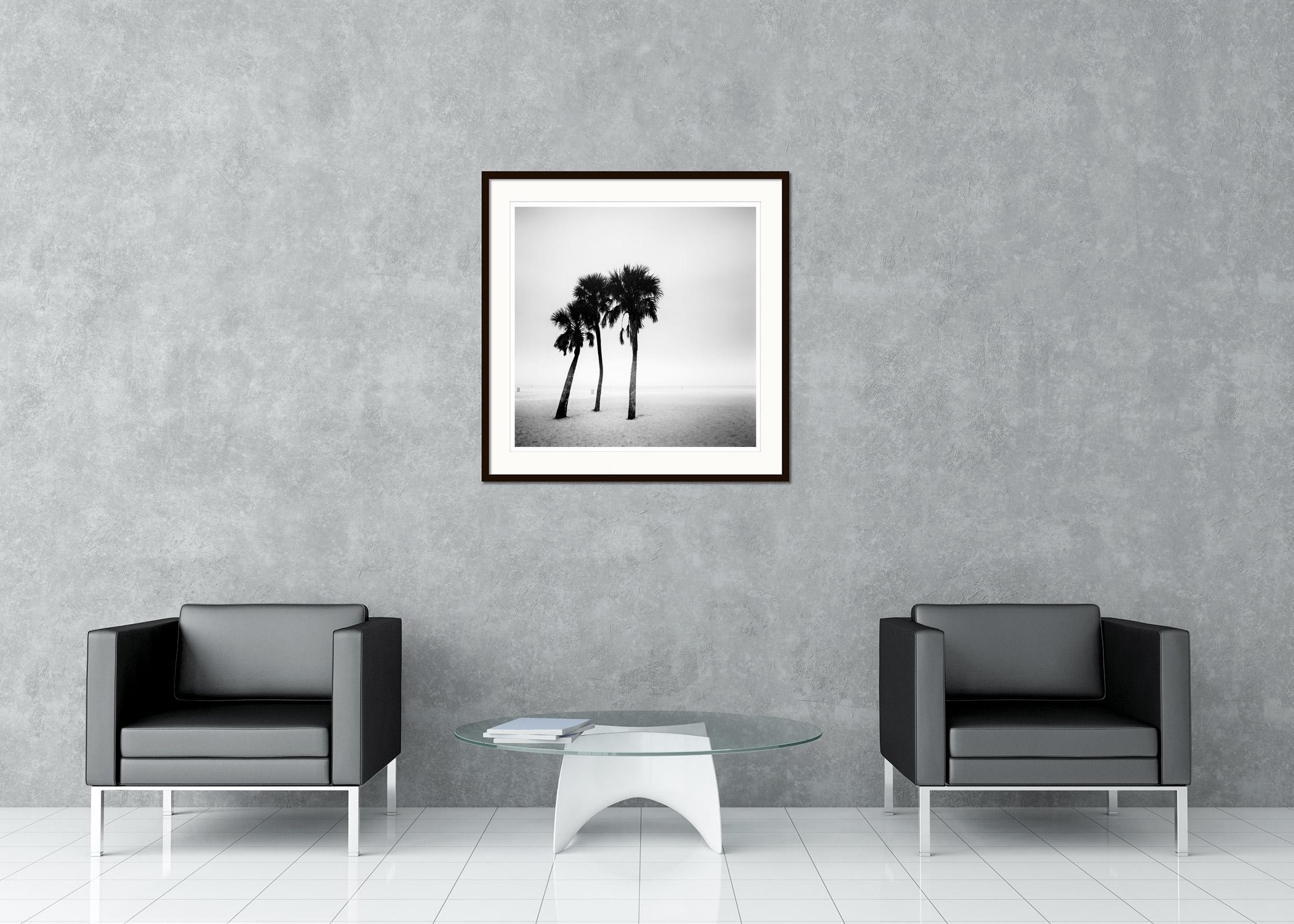 Palmiers, lonley beach, Floride, USA, photographie noir et blanc, paysage en vente 1