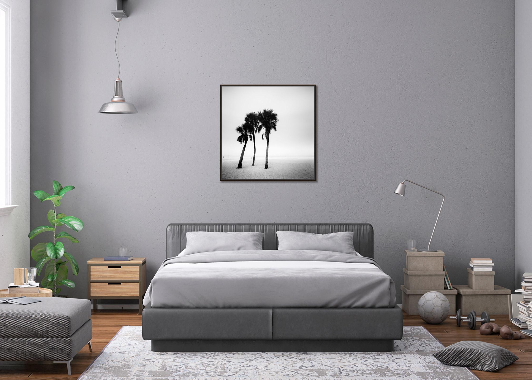 Palmiers, lonley beach, Floride, USA, photographie noir et blanc, paysage en vente 2