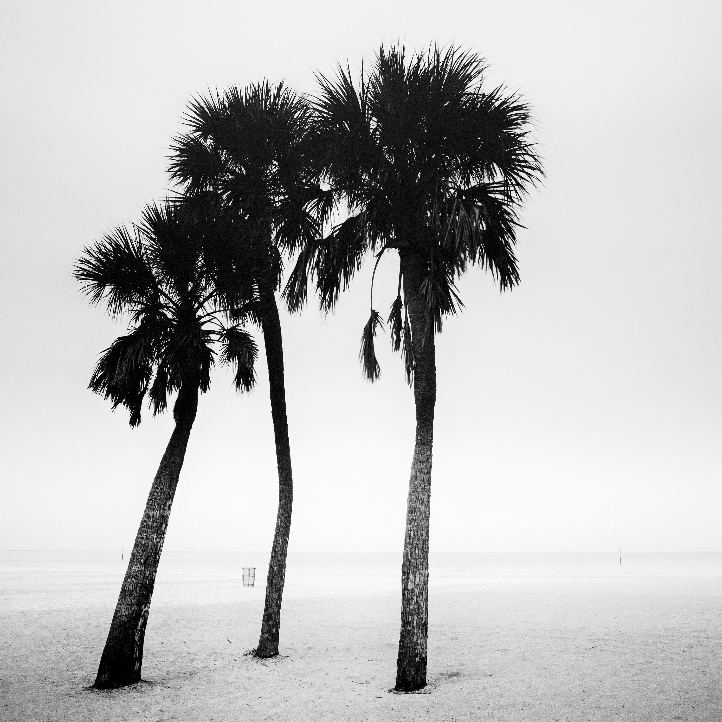Palmiers, lonley beach, Floride, USA, photographie noir et blanc, paysage en vente 4