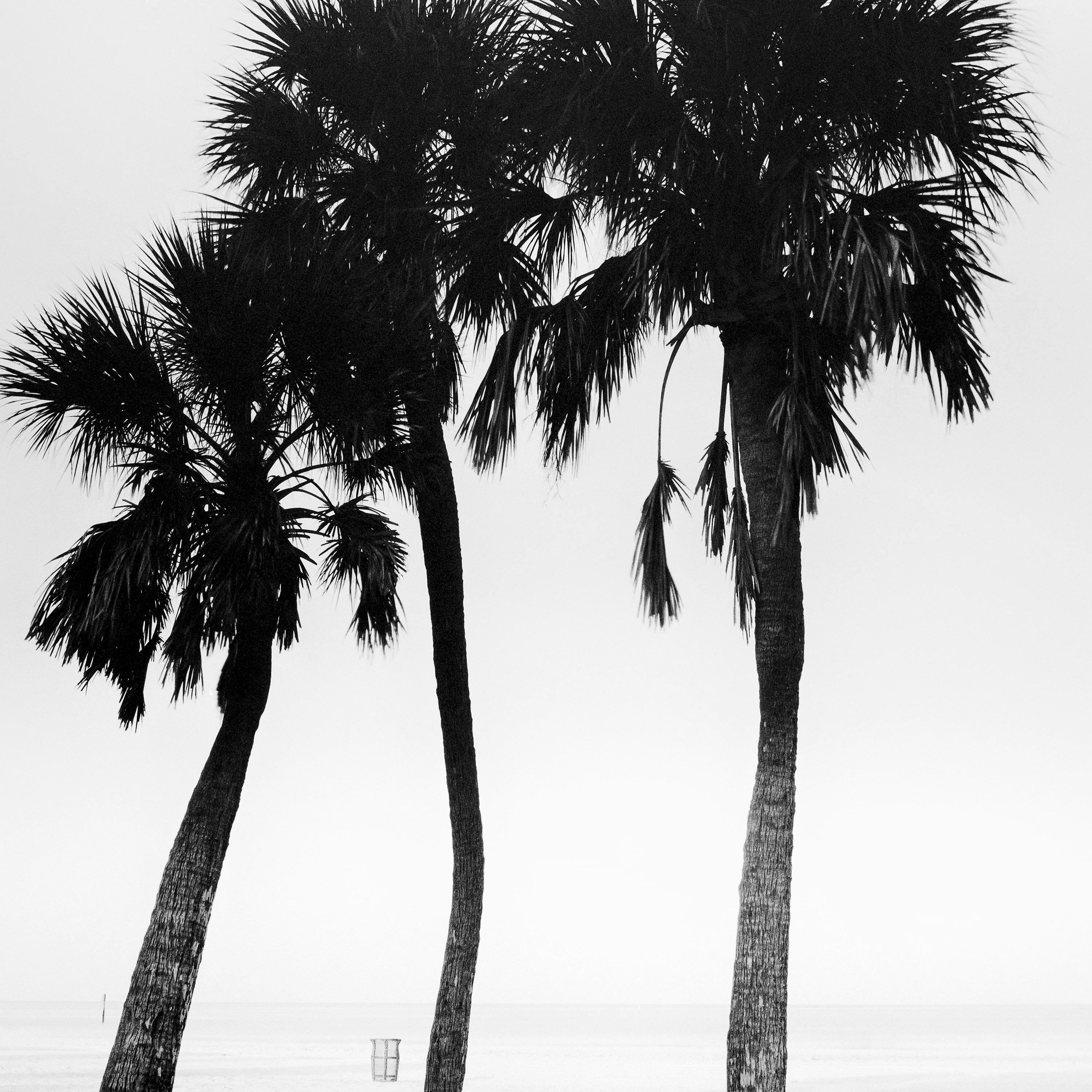 Palmiers, lonley beach, Floride, USA, photographie noir et blanc, paysage en vente 5