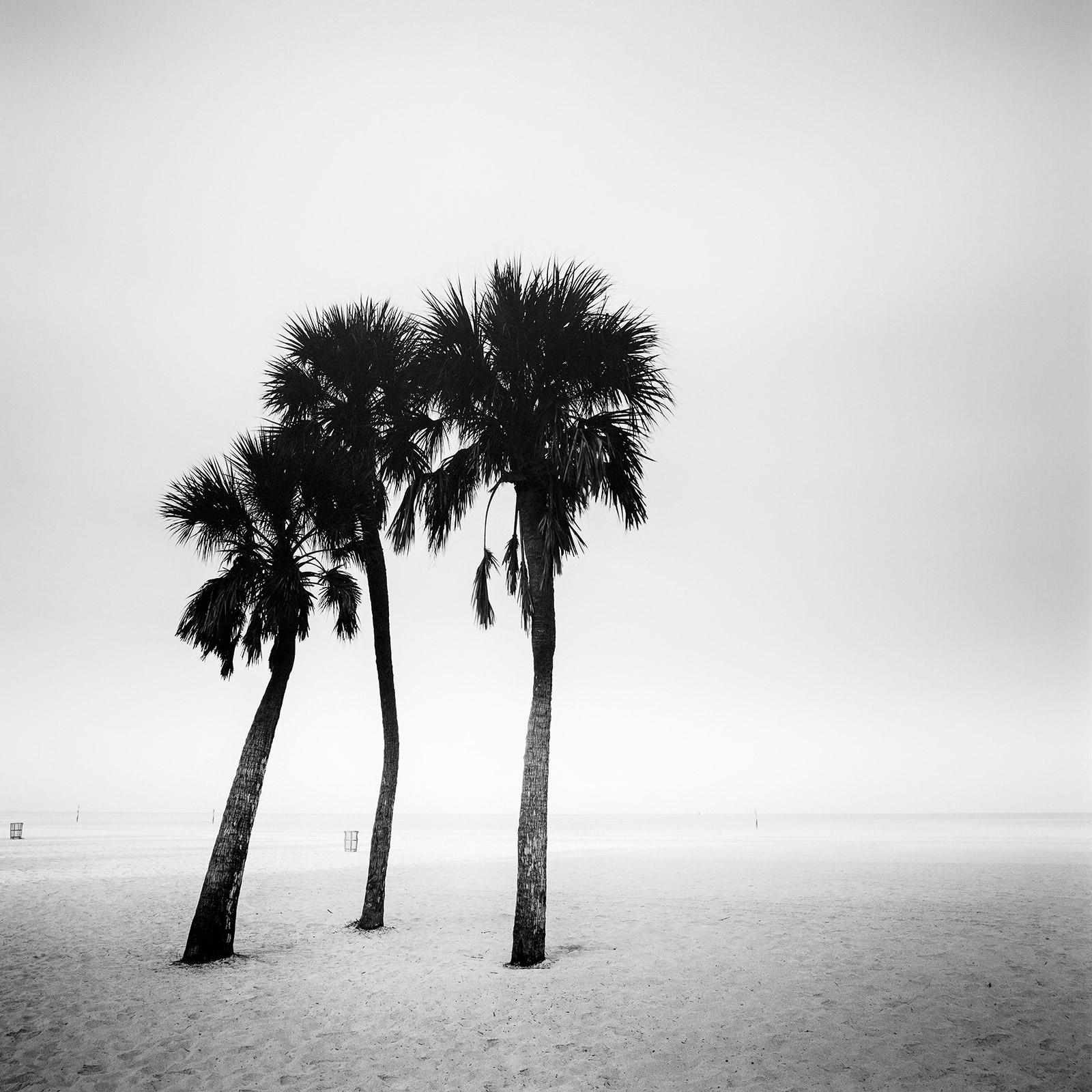 Black and White Photograph Gerald Berghammer - Palmiers, lonley beach, Floride, USA, photographie noir et blanc, paysage