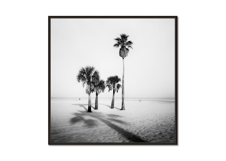 Palm Trees, beach, Florida, USA, black and white fine art photography, landscape - Photograph by Gerald Berghammer