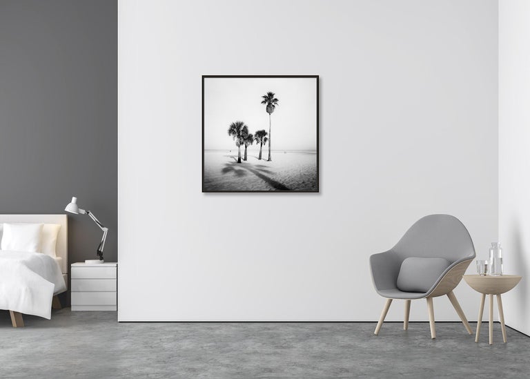Palm Trees, beach, Florida, USA, black and white fine art photography, landscape - Contemporary Photograph by Gerald Berghammer