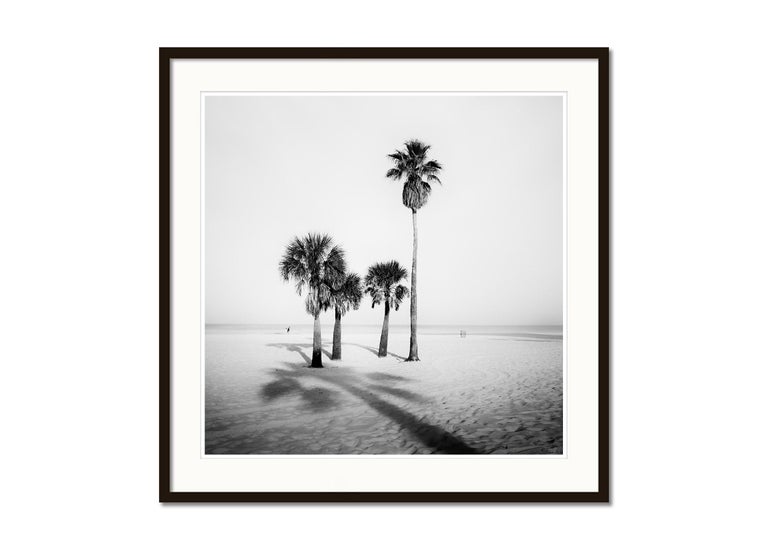 Palm Trees, beach, Florida, USA, black and white fine art photography, landscape - Gray Black and White Photograph by Gerald Berghammer