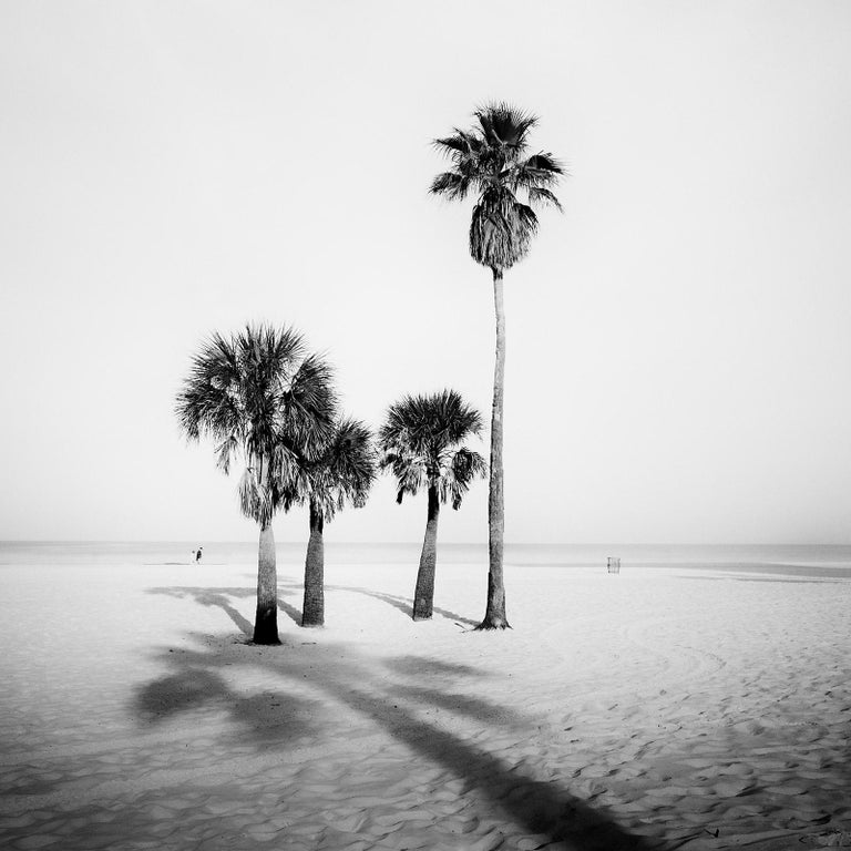 Gerald Berghammer Black and White Photograph - Palm Trees, beach, Florida, USA, black and white fine art photography, landscape