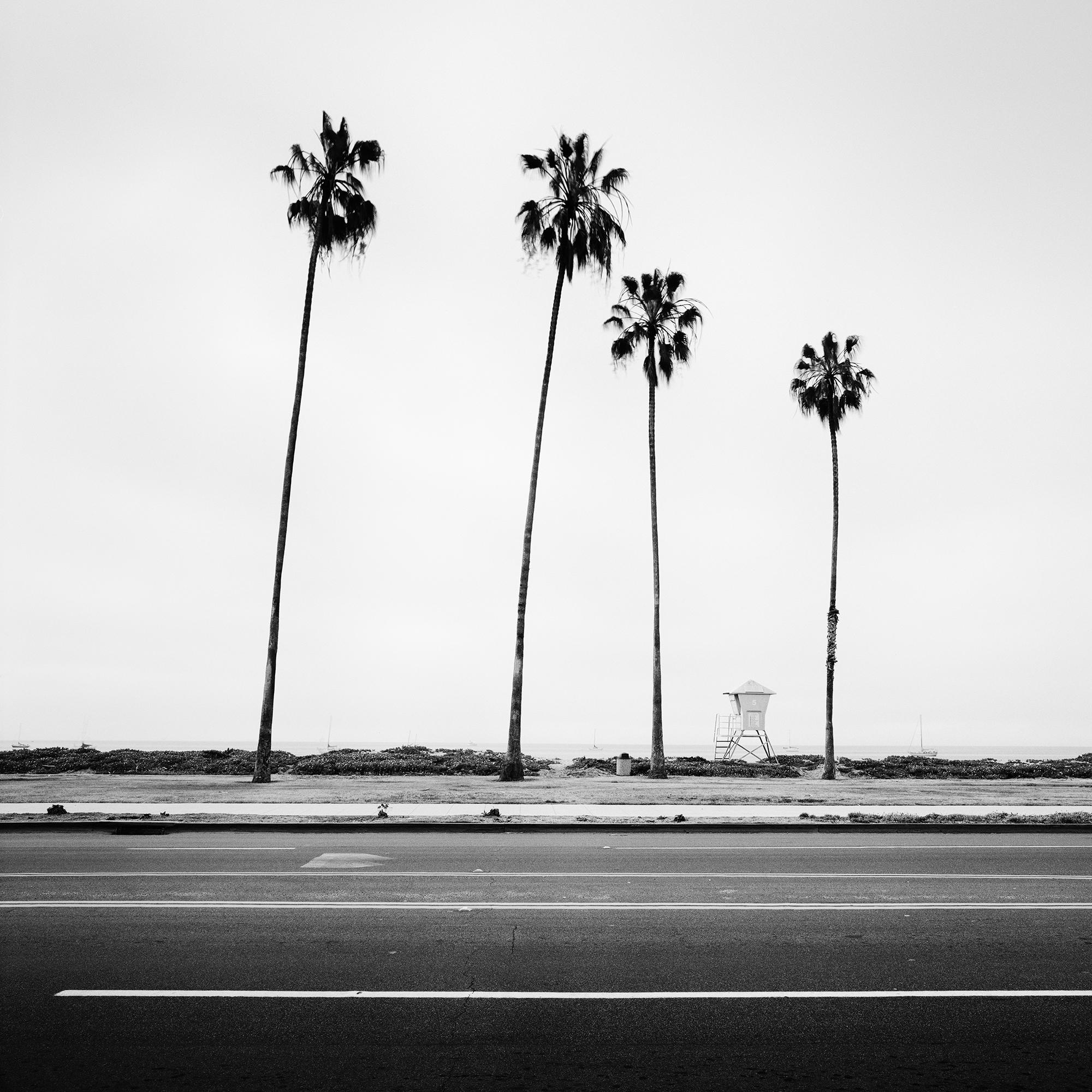 Palmen, Beach, Santa Barbara, USA, Schwarz-Weiß-Landschaftsfotografie im Angebot 5