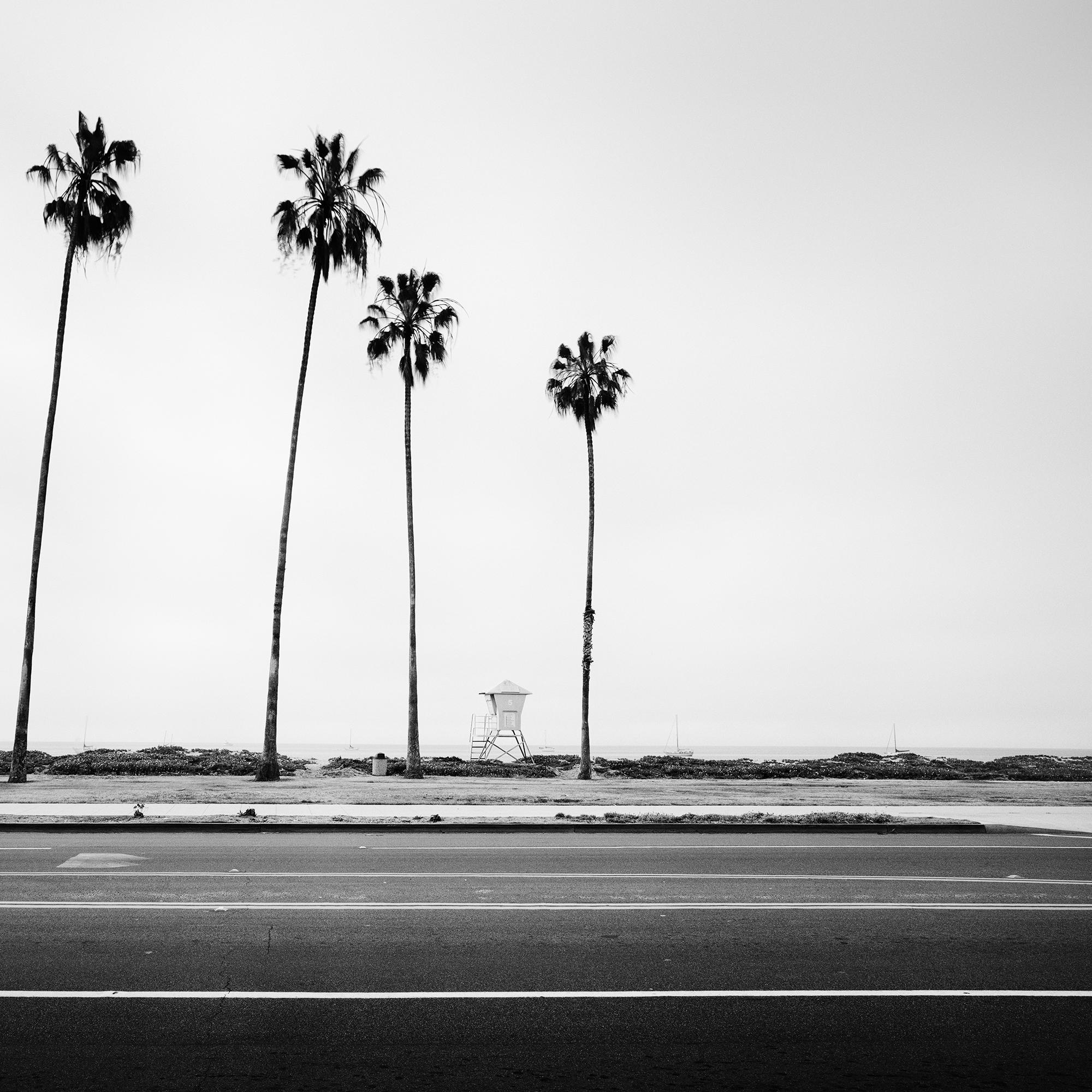 Palmen, Beach, Santa Barbara, USA, Schwarz-Weiß-Landschaftsfotografie im Angebot 6