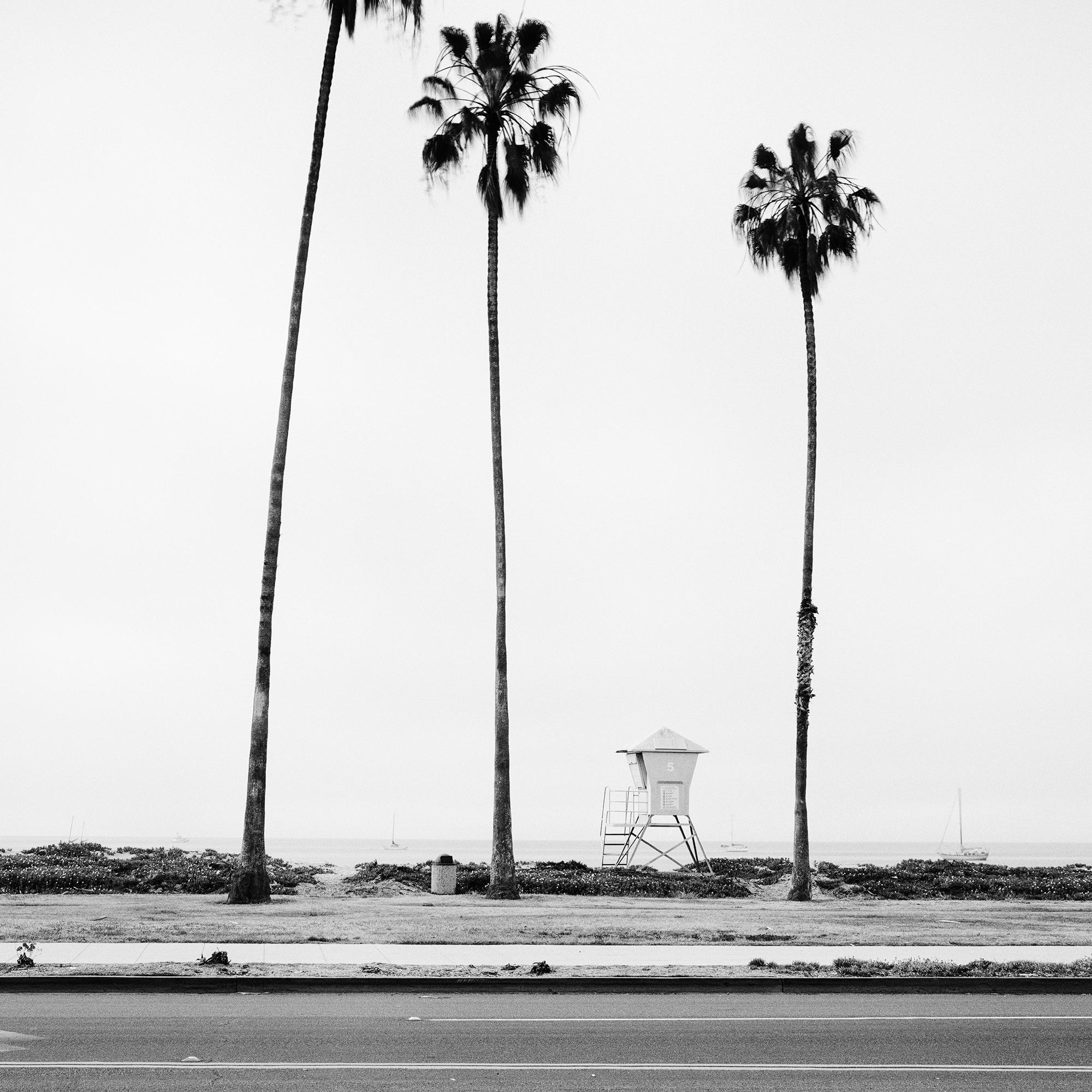 Palmen, Beach, Santa Barbara, USA, Schwarz-Weiß-Landschaftsfotografie im Angebot 7