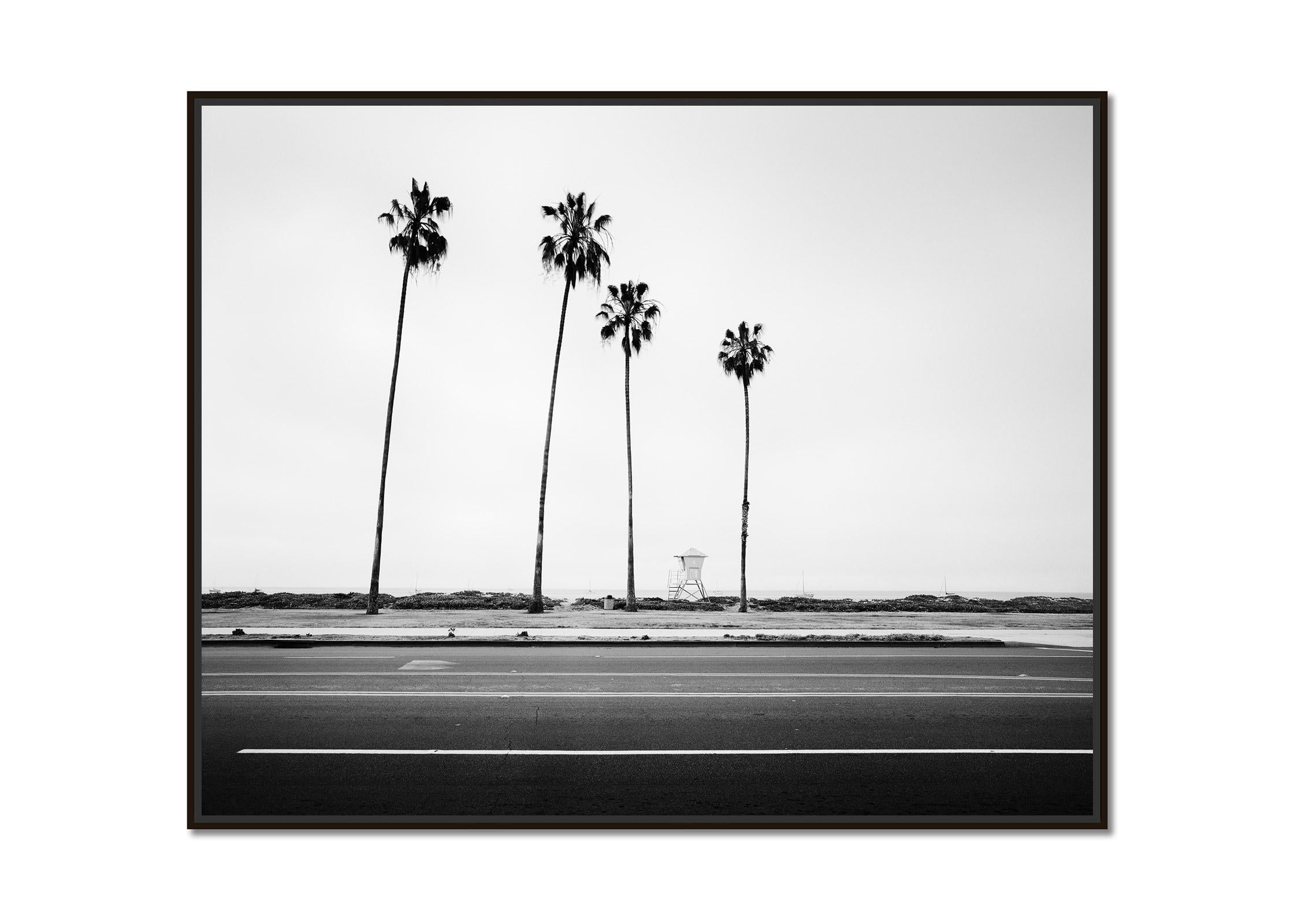 Palm Trees, Beach, Santa Barbara, USA, black and white landscape art photography - Photograph by Gerald Berghammer