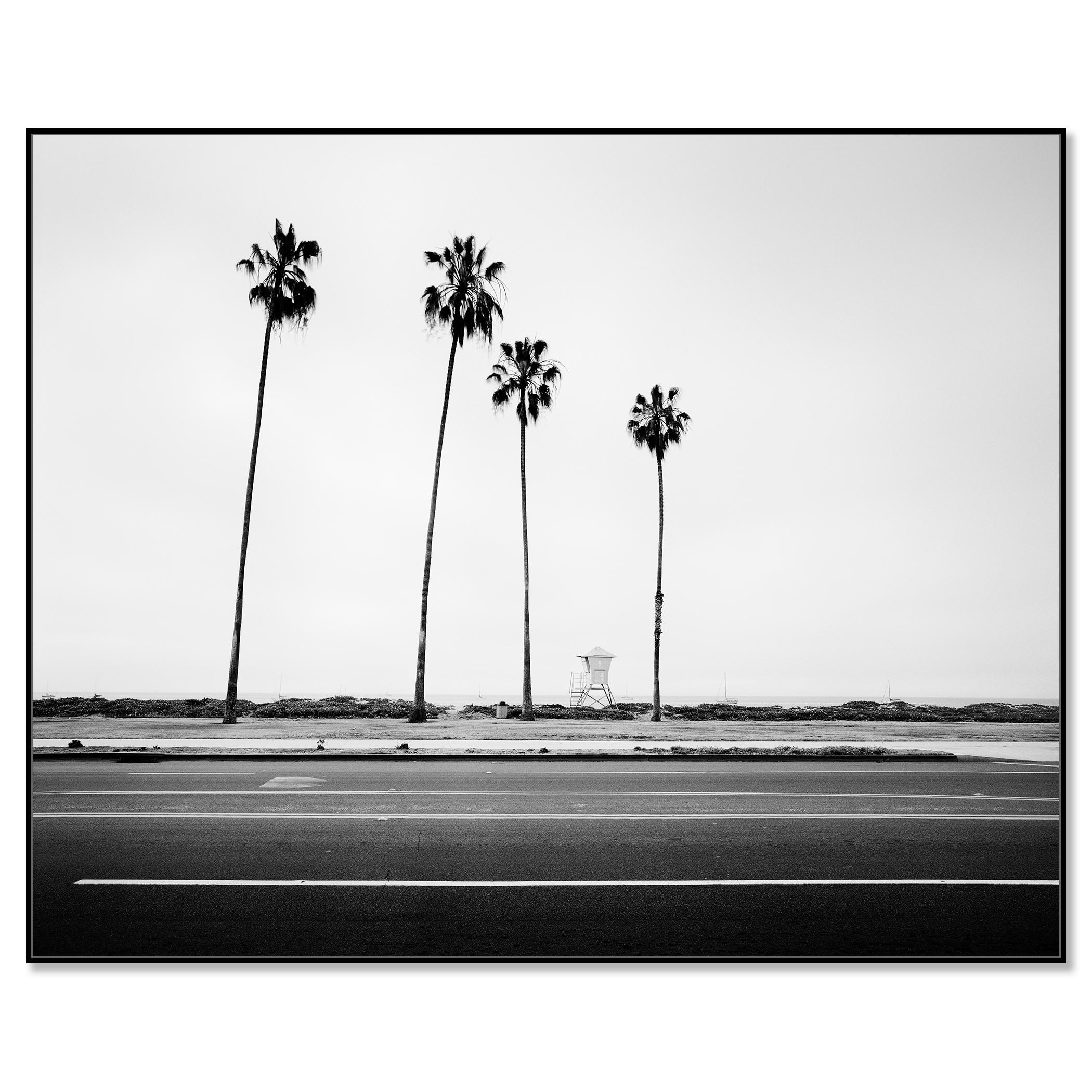 Palmen, Beach, Santa Barbara, USA, Schwarz-Weiß-Landschaftsfotografie – Photograph von Gerald Berghammer