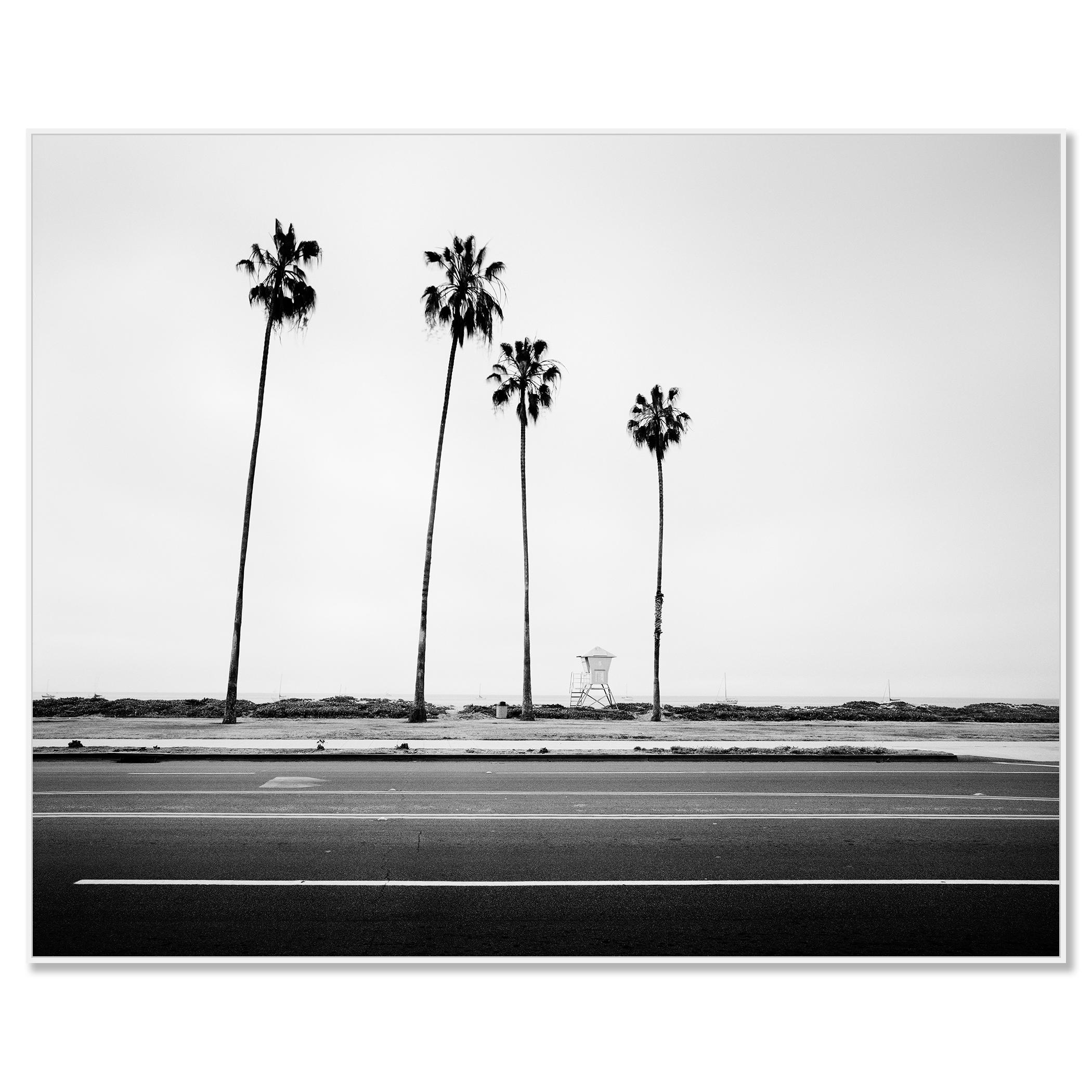 Palmen, Beach, Santa Barbara, USA, Schwarz-Weiß-Landschaftsfotografie (Zeitgenössisch), Photograph, von Gerald Berghammer