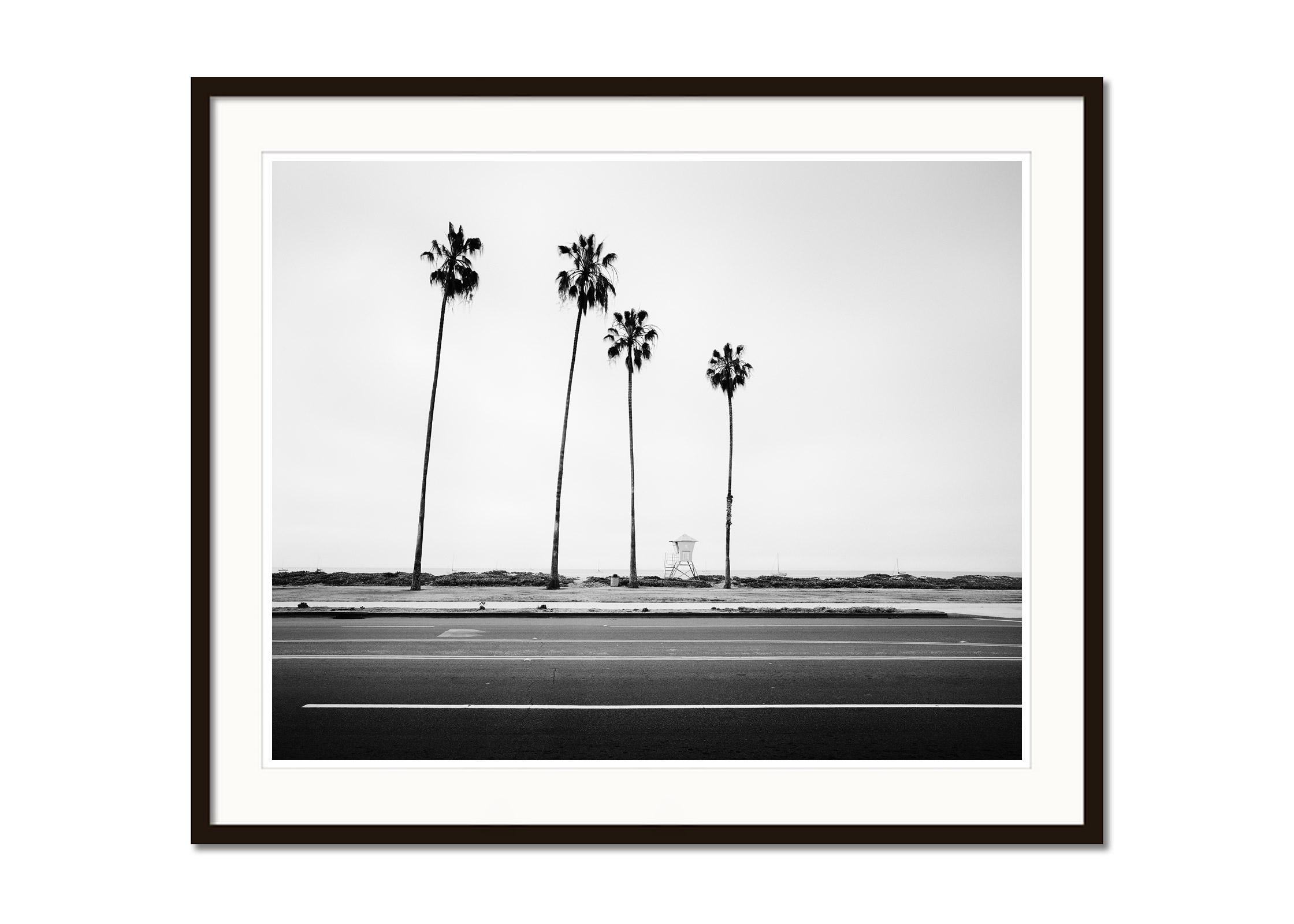 Palm Trees, Beach, Santa Barbara, USA, black and white landscape art photography - Contemporary Photograph by Gerald Berghammer