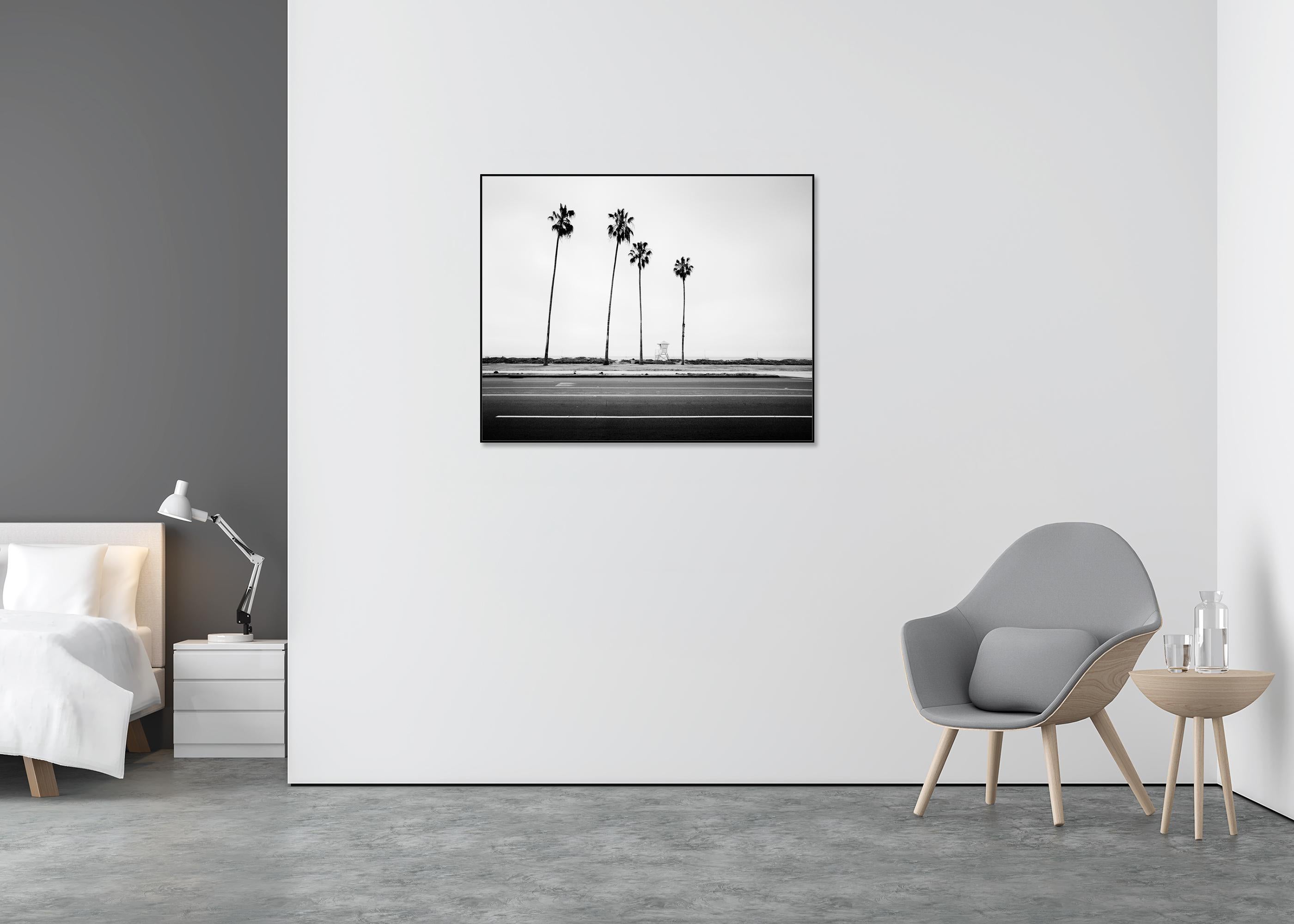 Palmen, Beach, Santa Barbara, USA, Schwarz-Weiß-Landschaftsfotografie (Grau), Black and White Photograph, von Gerald Berghammer