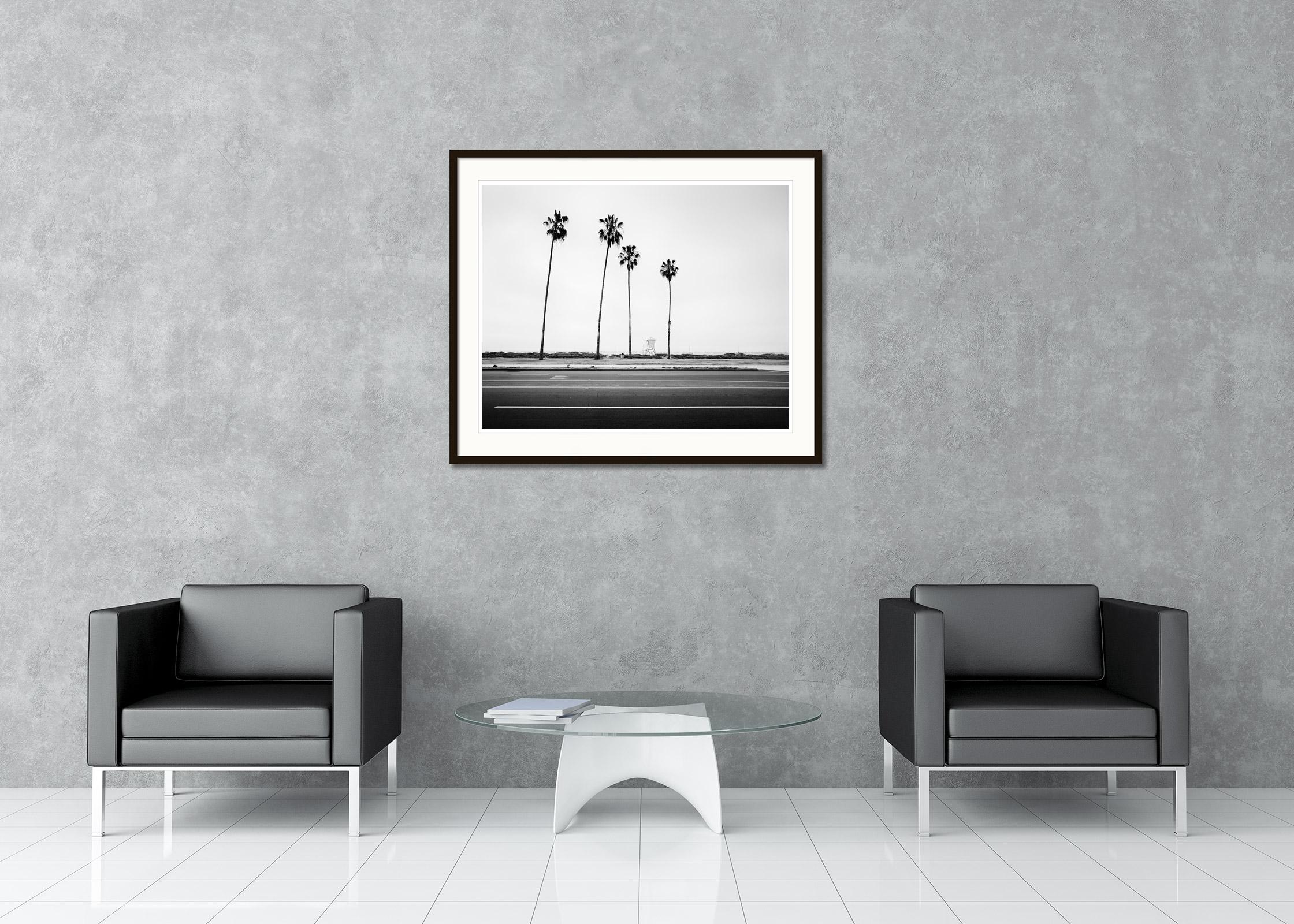 Palm Trees, Beach, Santa Barbara, USA, black and white landscape art photography - Gray Black and White Photograph by Gerald Berghammer