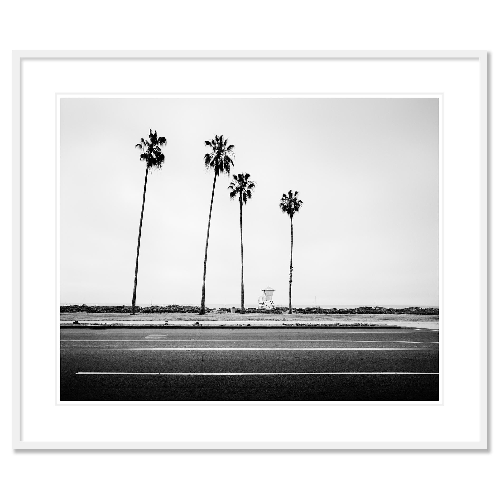 Palmen, Beach, Santa Barbara, USA, Schwarz-Weiß-Landschaftsfotografie im Angebot 1