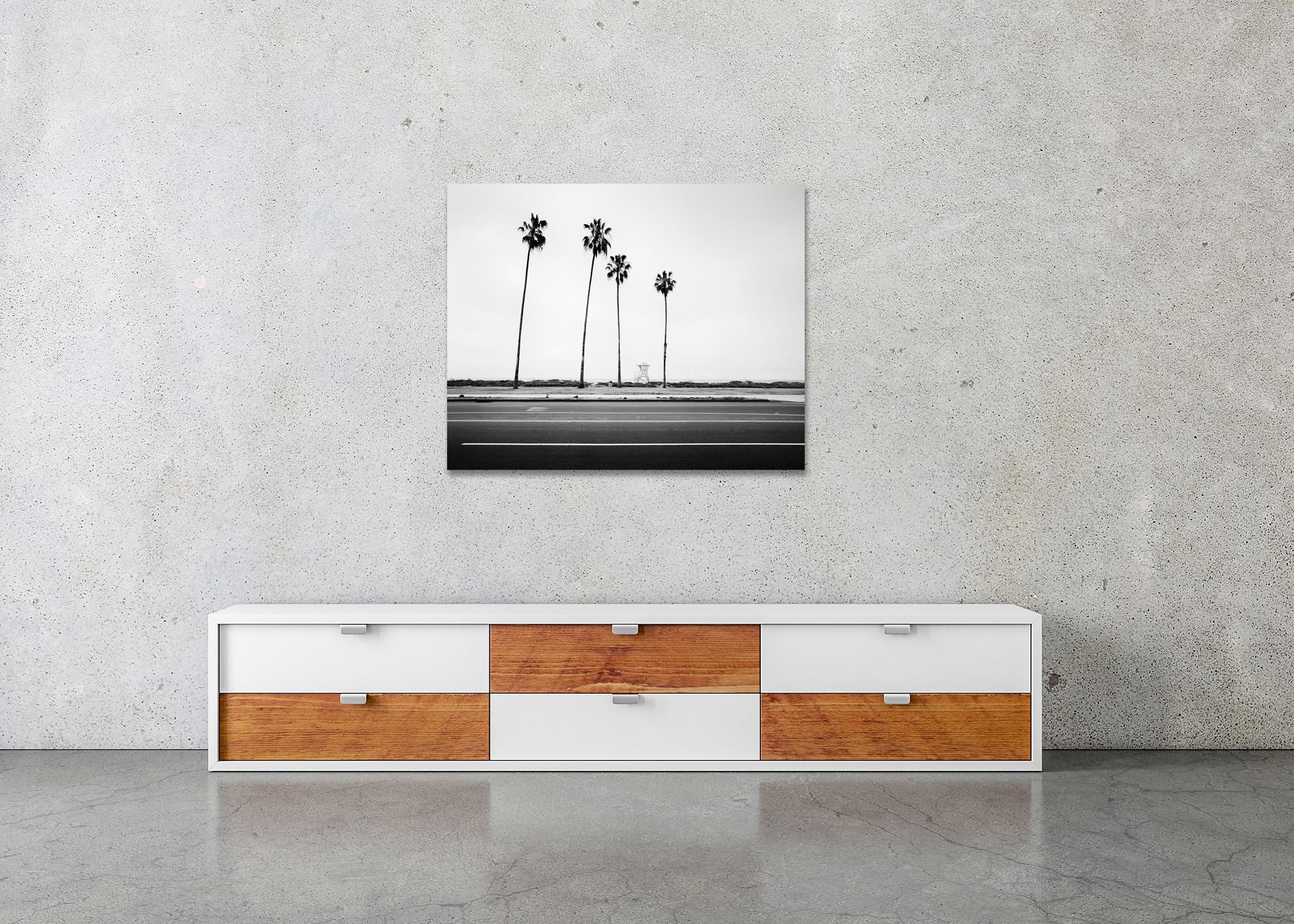 Palm Trees, Beach, Santa Barbara, USA, black and white landscape art photography For Sale 1